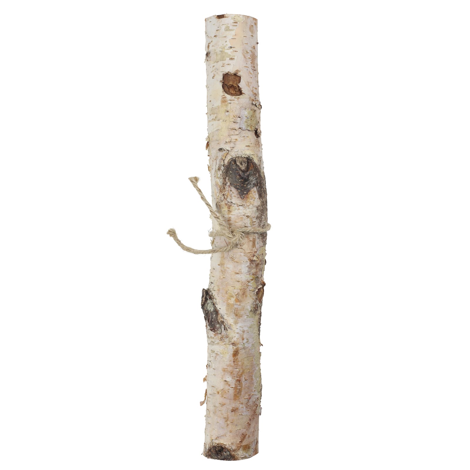 16&#x22; Birch Log by Ashland&#xAE;
