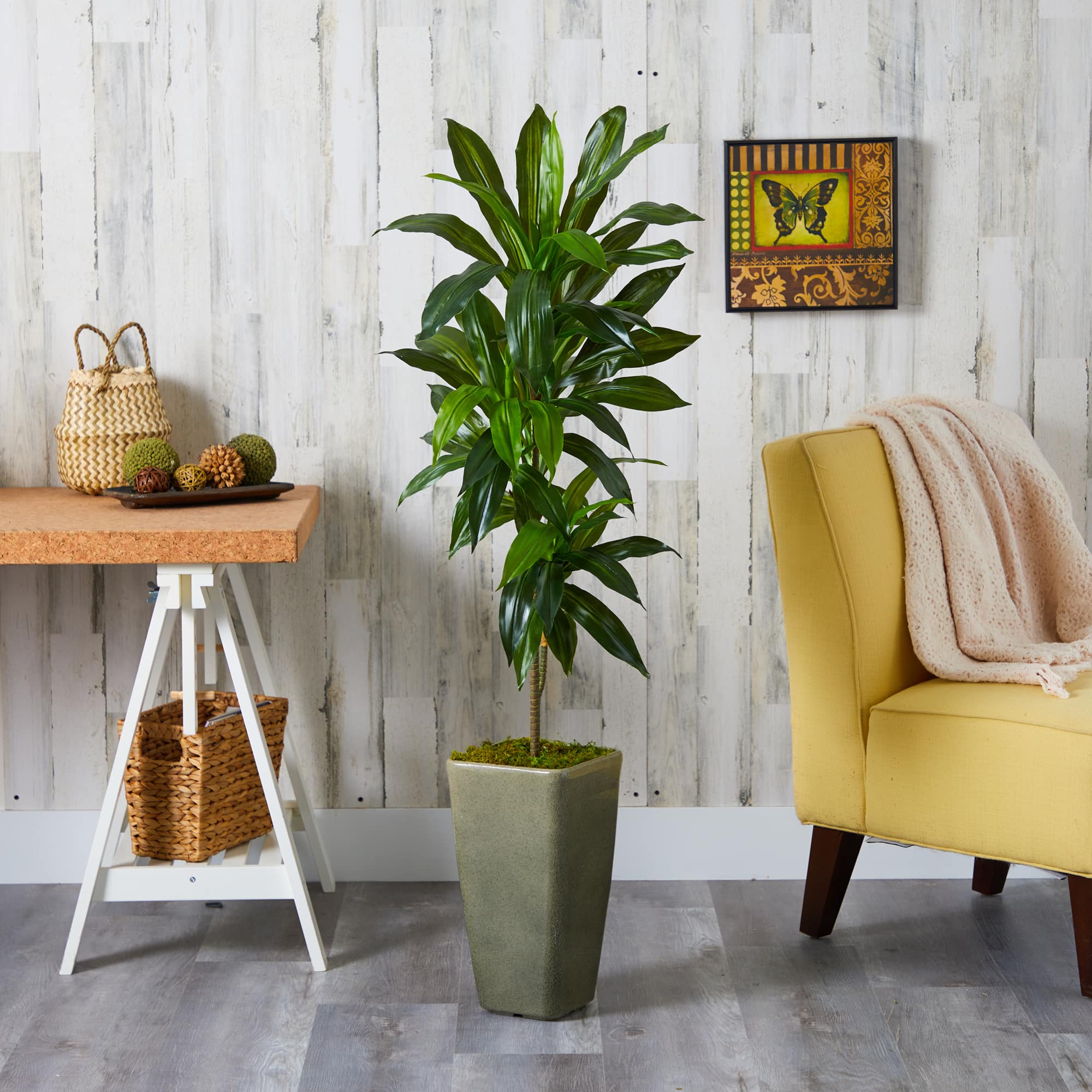 4.5ft. Dracaena Plant in Green Planter