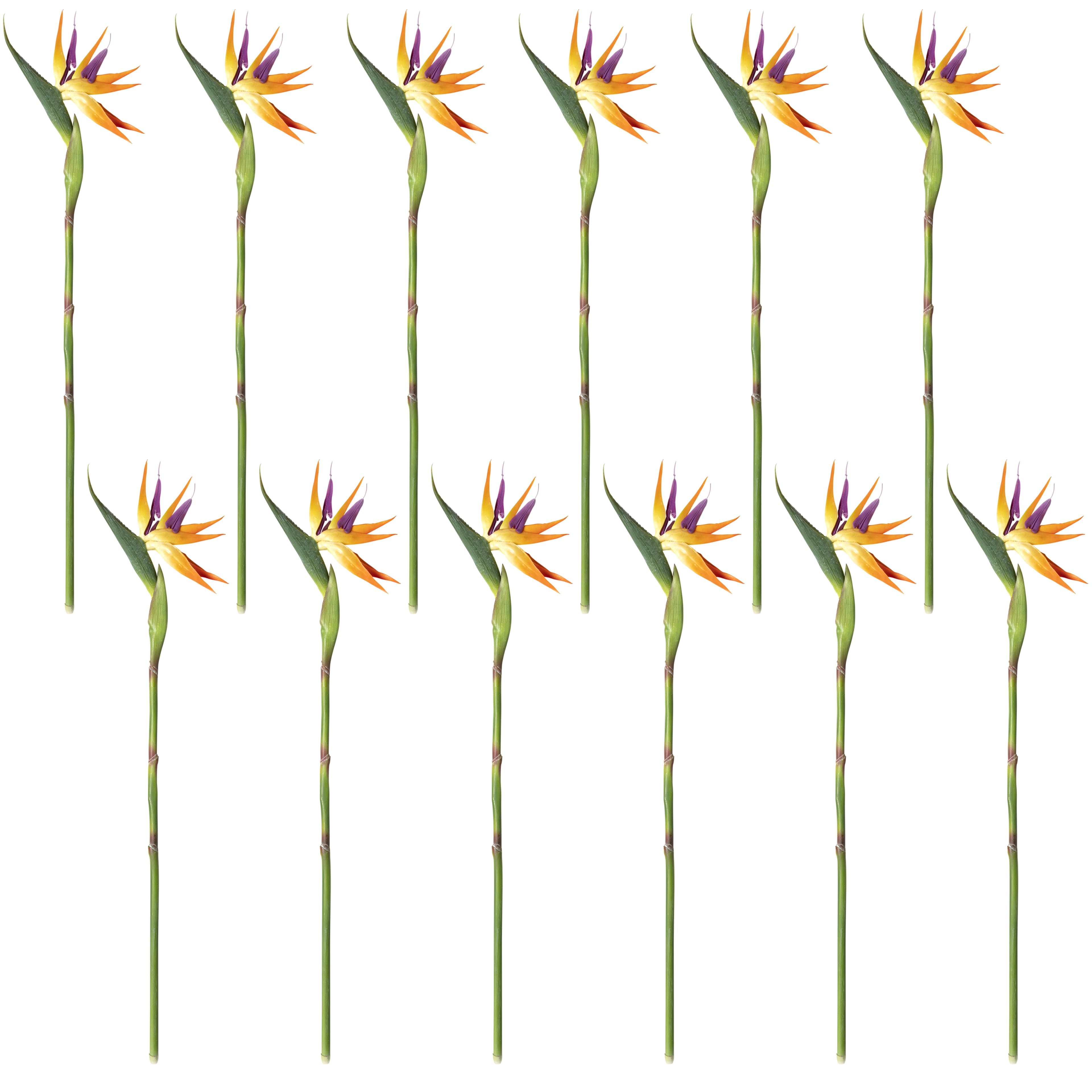 12 Pack: Yellow Bird of Paradise Stem by Ashland®
