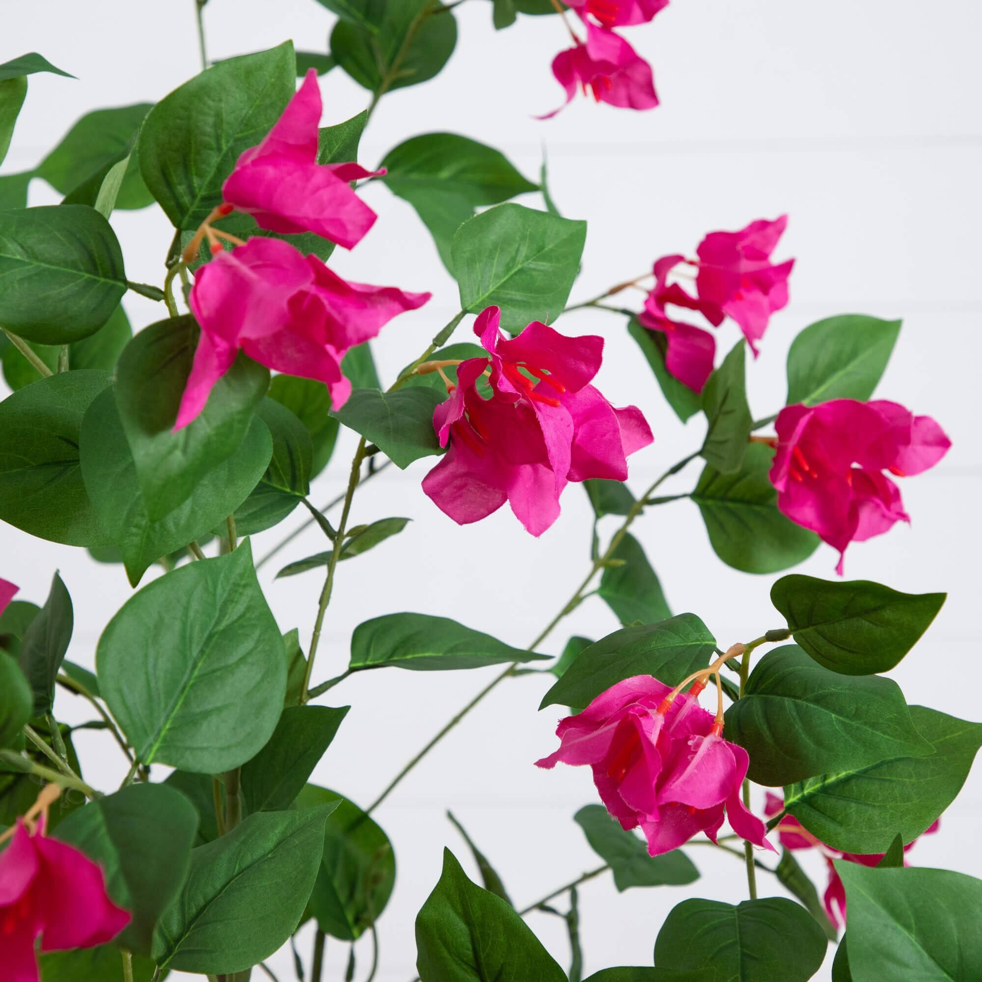 6ft. Potted Pink Minimalist Bougainvillea Tree