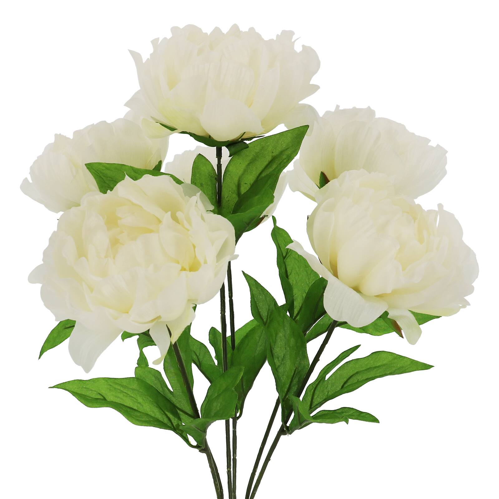 20" Peony Bush by Ashland