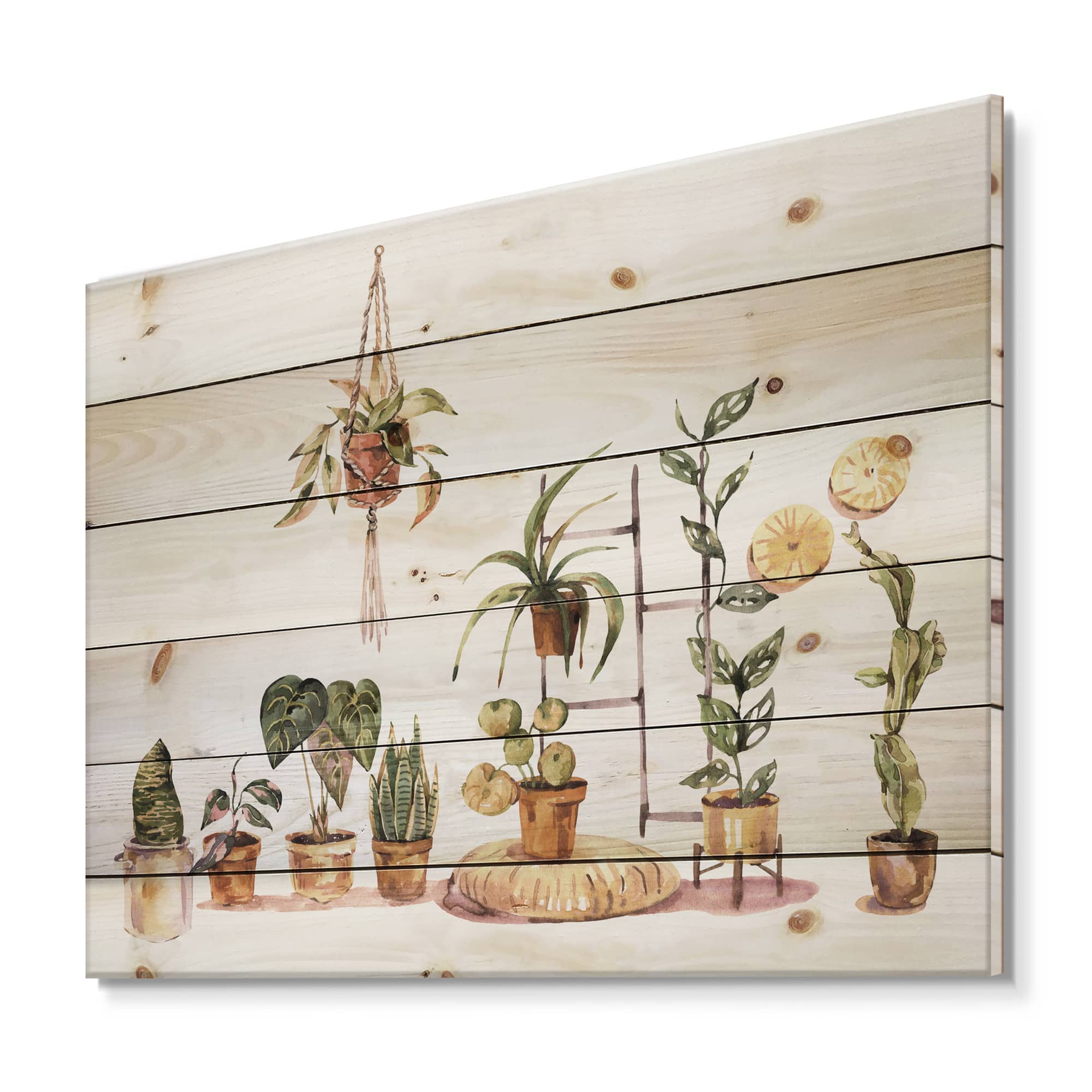 Designart - Indoor House Plants Urban Jungle II - Traditional Print on Natural Pine Wood