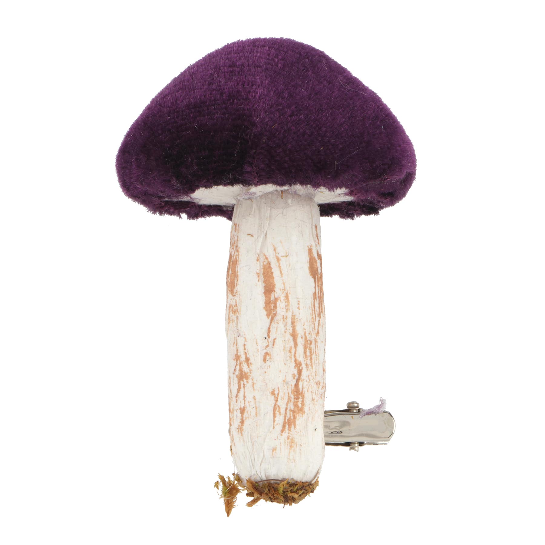 Champignons mauves d&#x2019;Ashland, 3&#xA0;unit&#xE9;s