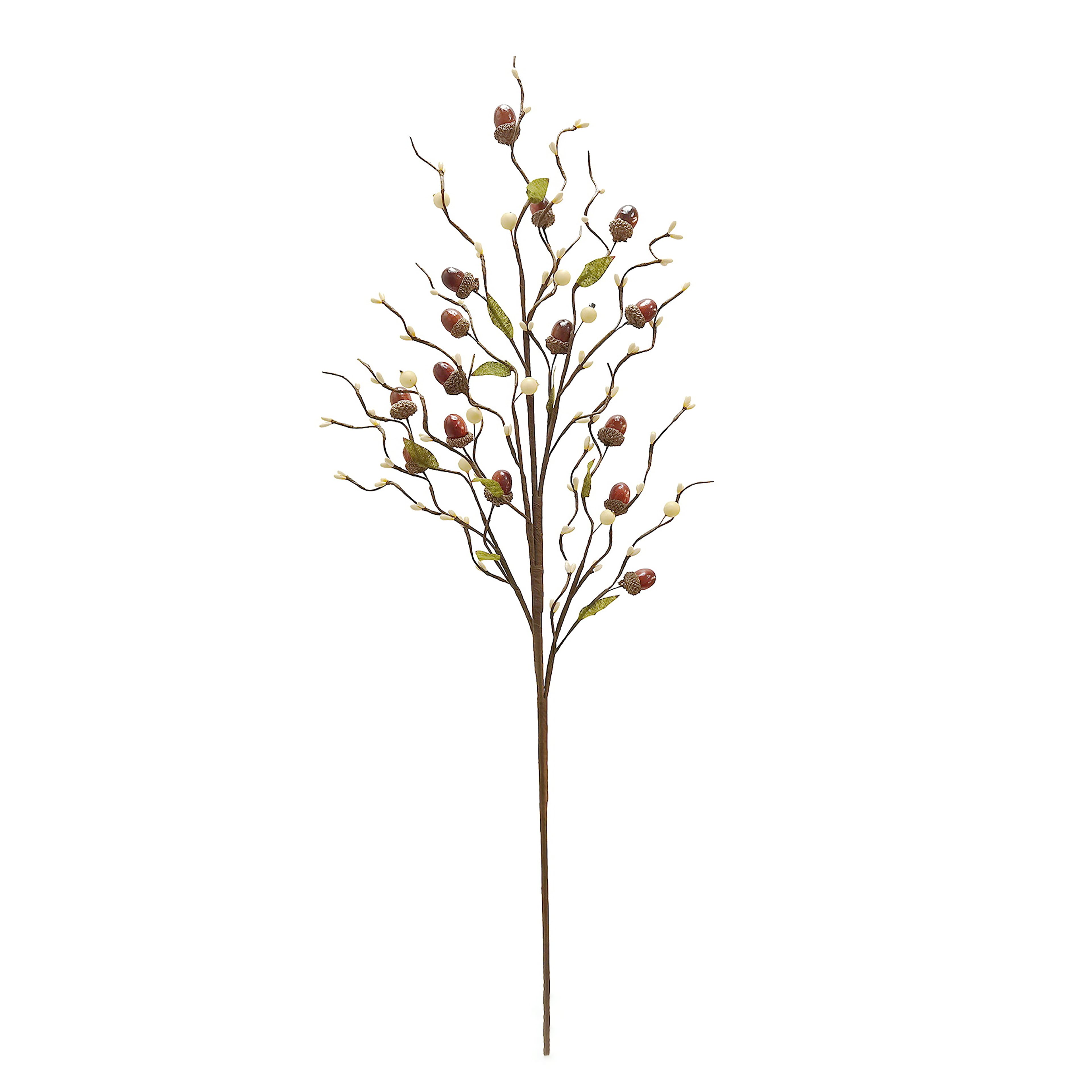 32&#x22; Brown &#x26; Cream Acorn Stem by Ashland&#xAE;