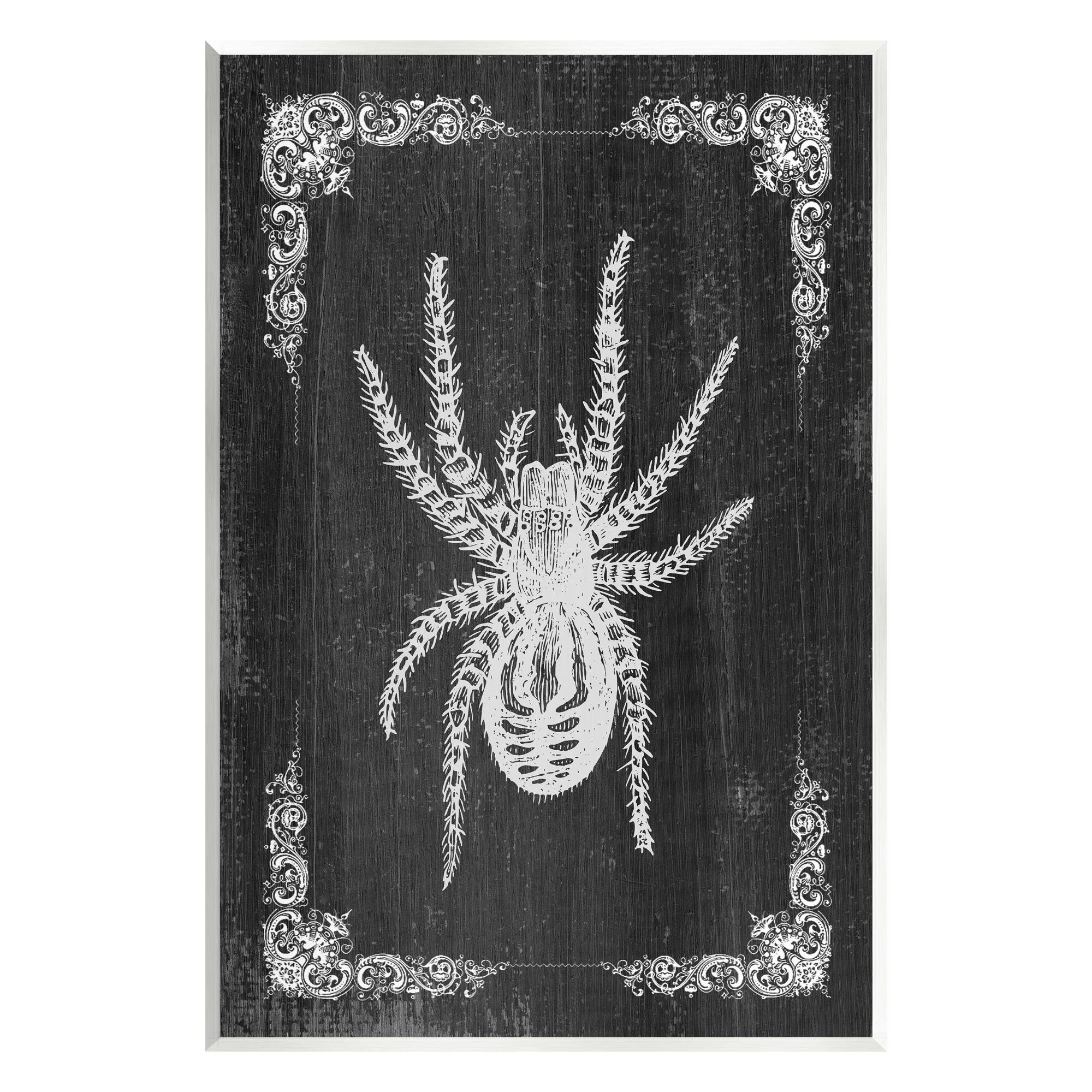 Stupell Industries Black &#x26; White Spider Wall Plaque Art