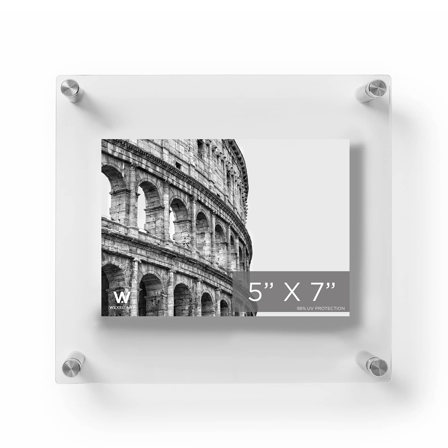 Wexel Art Double Panel Clear Acrylic Floating Wall Frame with Silver Hardware