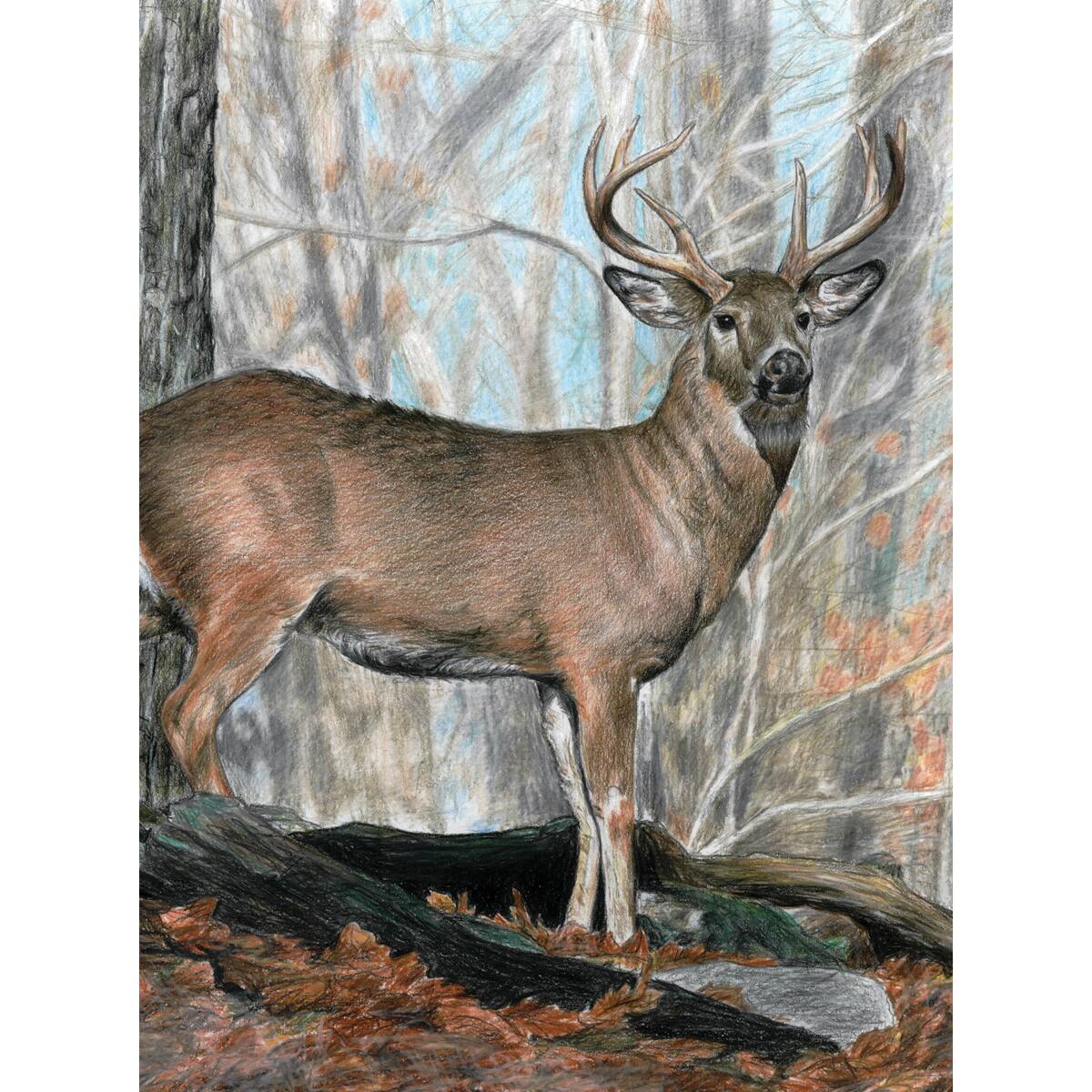 Royal &#x26; Langnickel&#xAE; Whitetail Buck Colour Pencil&#x2122; by Number Kit