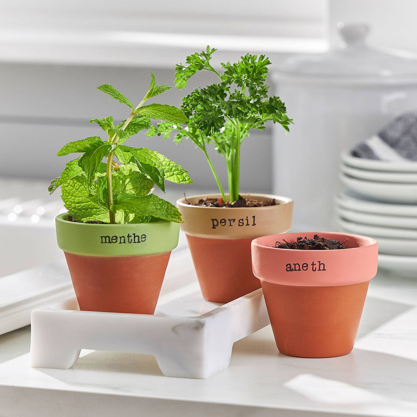 Stamped Herb Clay Pot