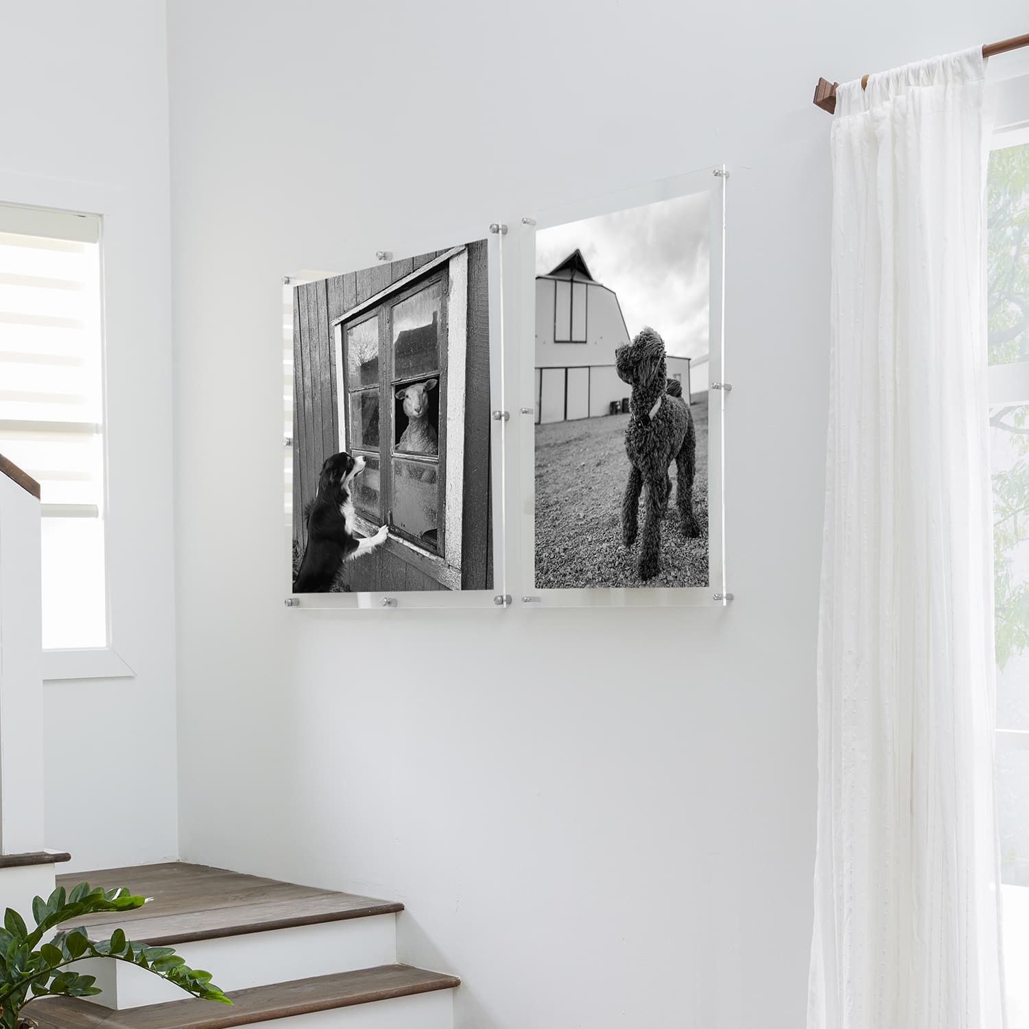 Wexel Art Double Panel Clear Acrylic Floating Wall Frame with Silver Hardware