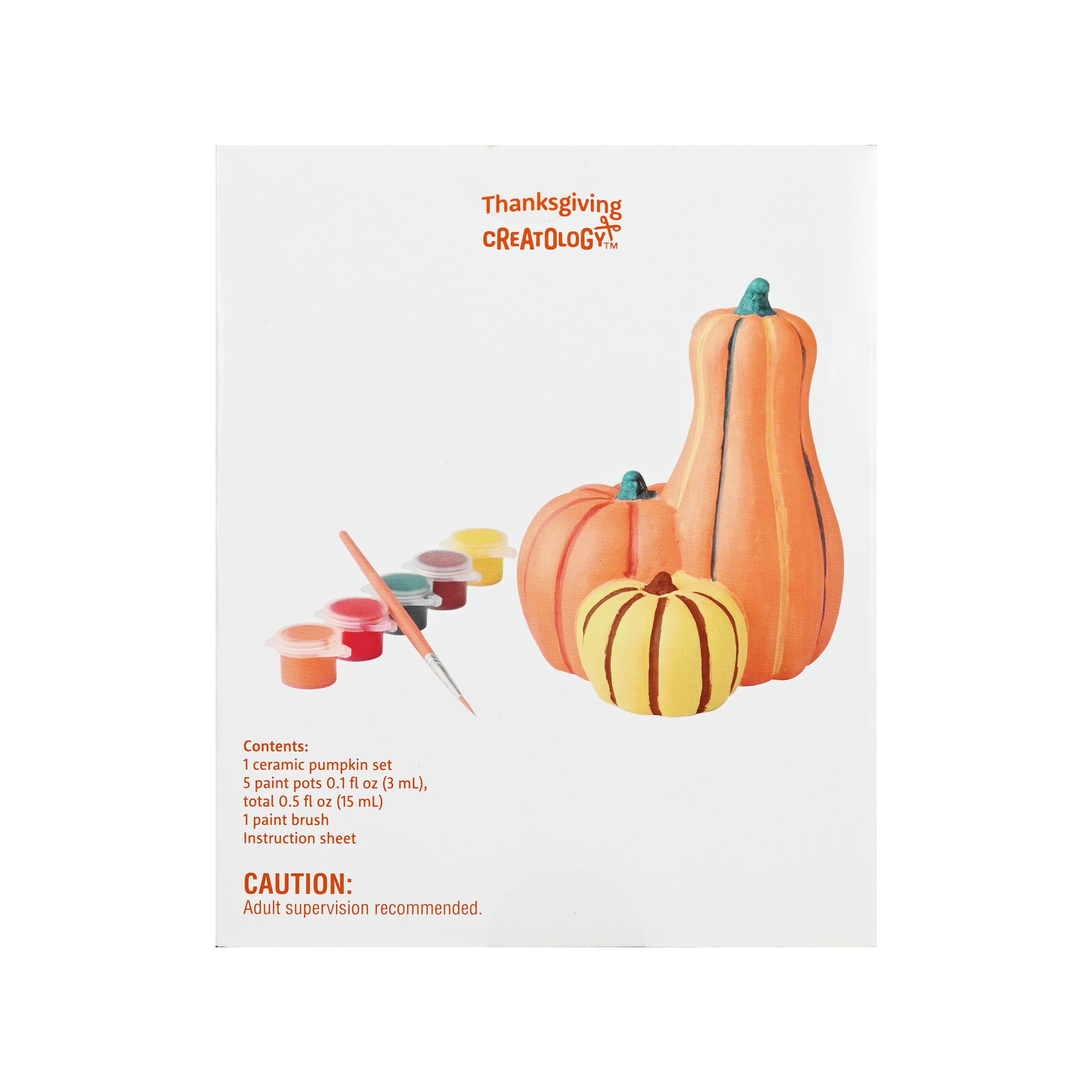 3D Ceramic Pumpkin Craft Kit by Creatology&#x2122;