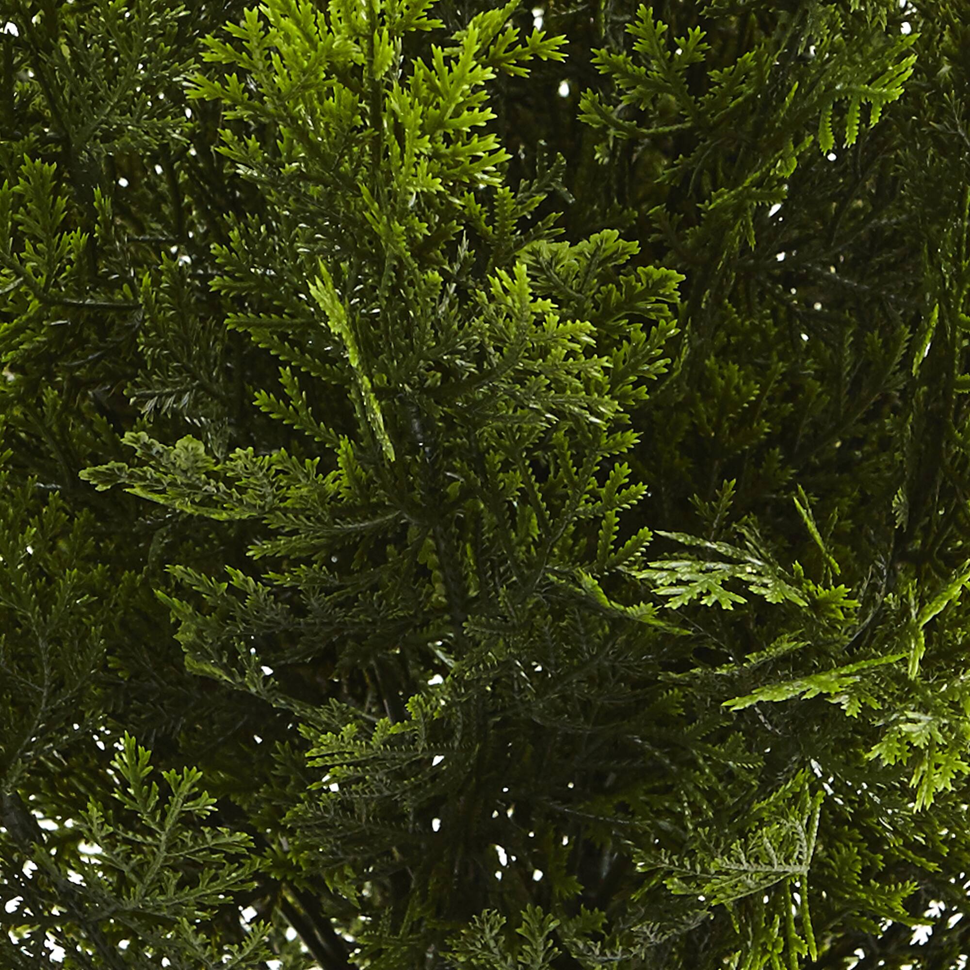 2ft. Potted Cedar Bush