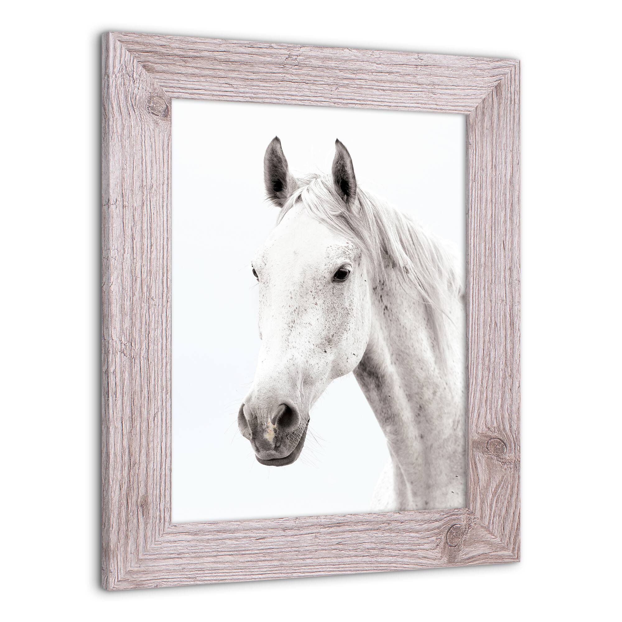 White Horse Western Framed Print