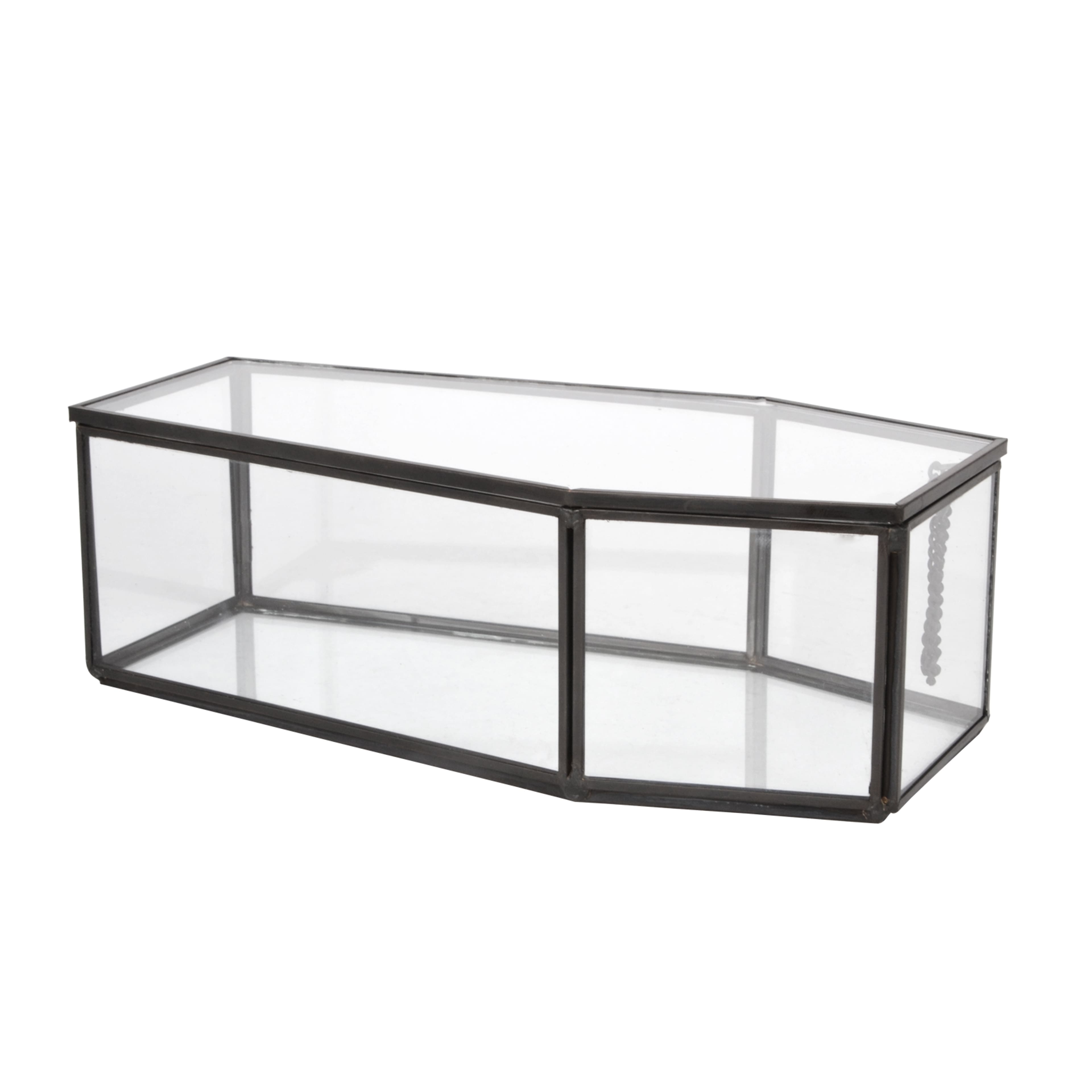 Coffin Terrarium by Ashland&#xAE;