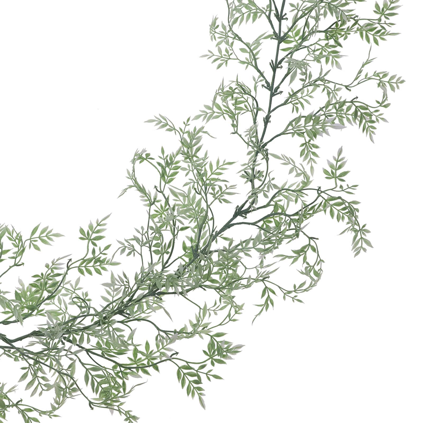 6ft. Green &#x26; White Ficus Garland by Ashland&#xAE;