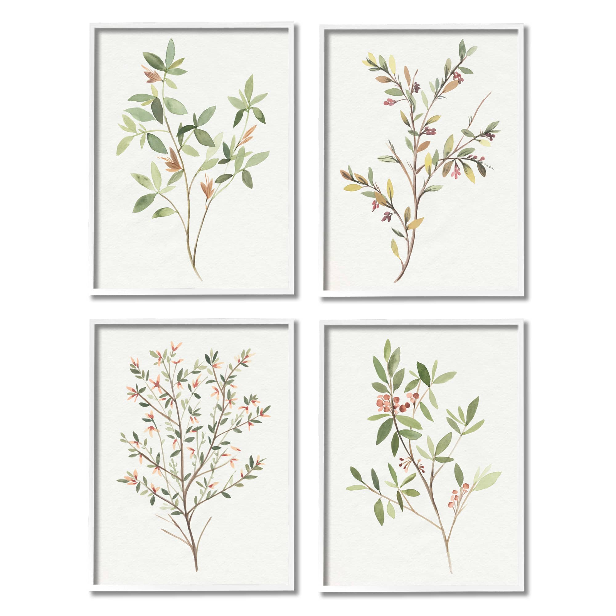 Stupell Industries Soft Farmhouse Botanicals Charming Wild Foliage Plant Illustration Framed Wall Art