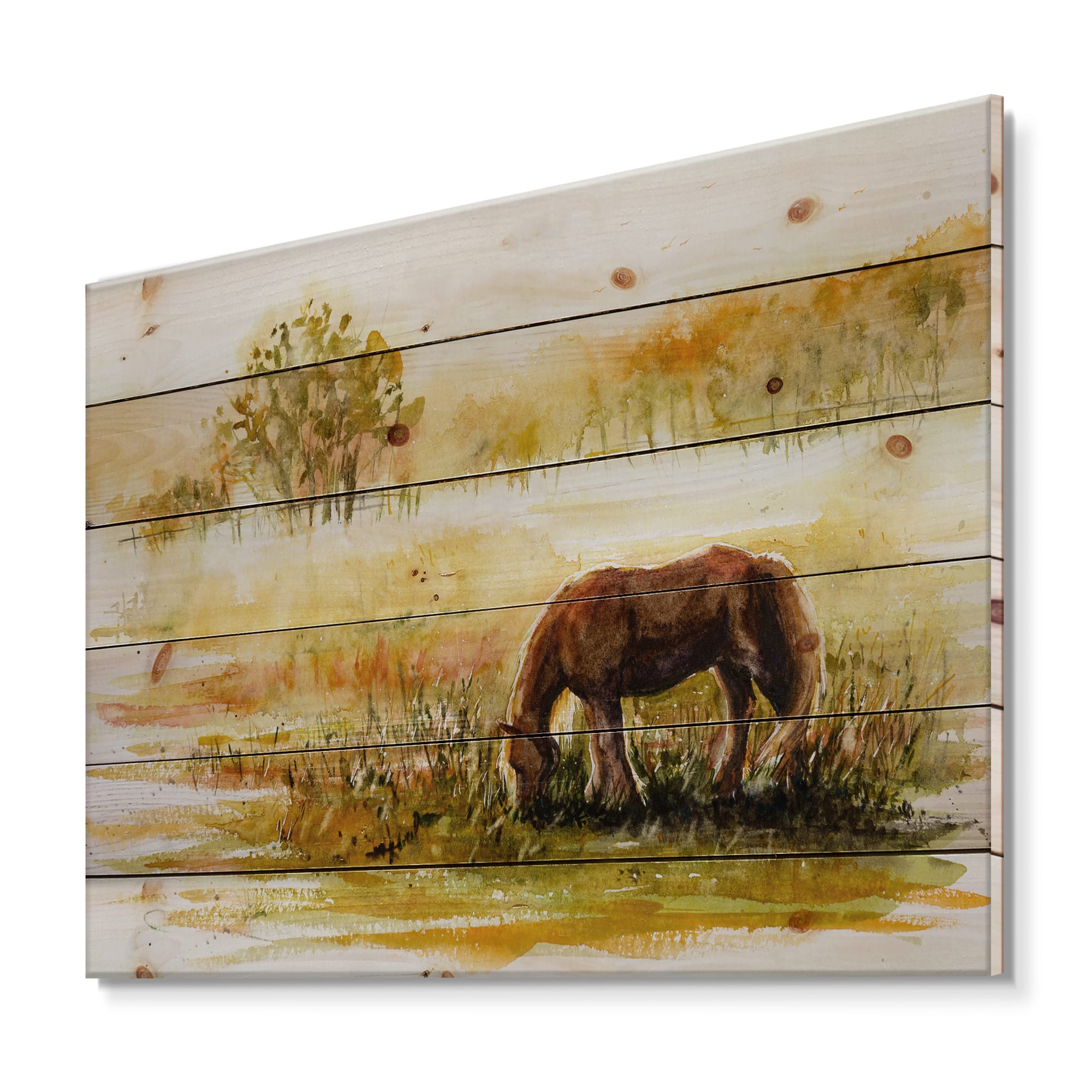 Designart - Horse Grazing On A Meadow - Farmhouse Print on Natural Pine Wood