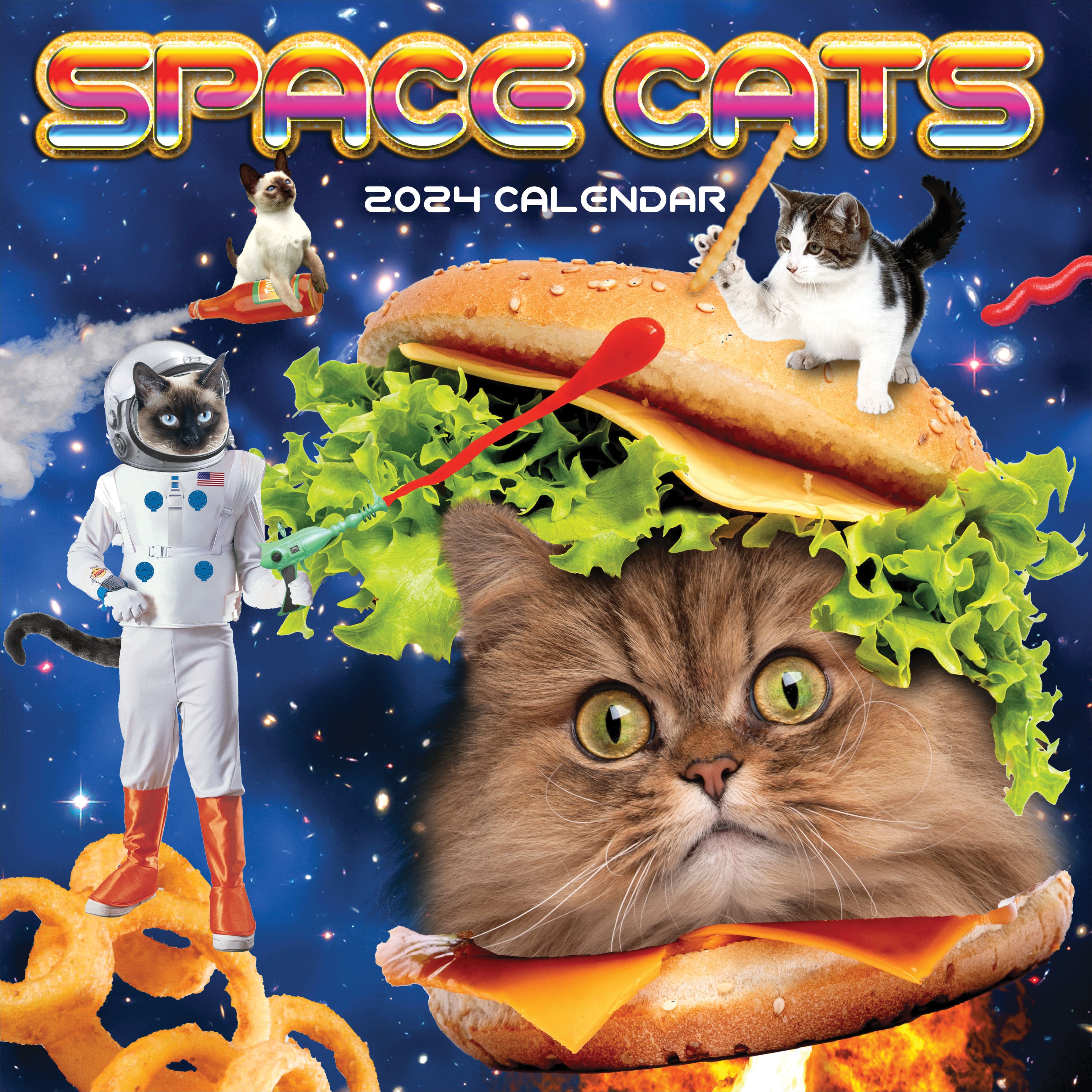 TF Publishing 2024 Space Cats Wall Calendar Michaels