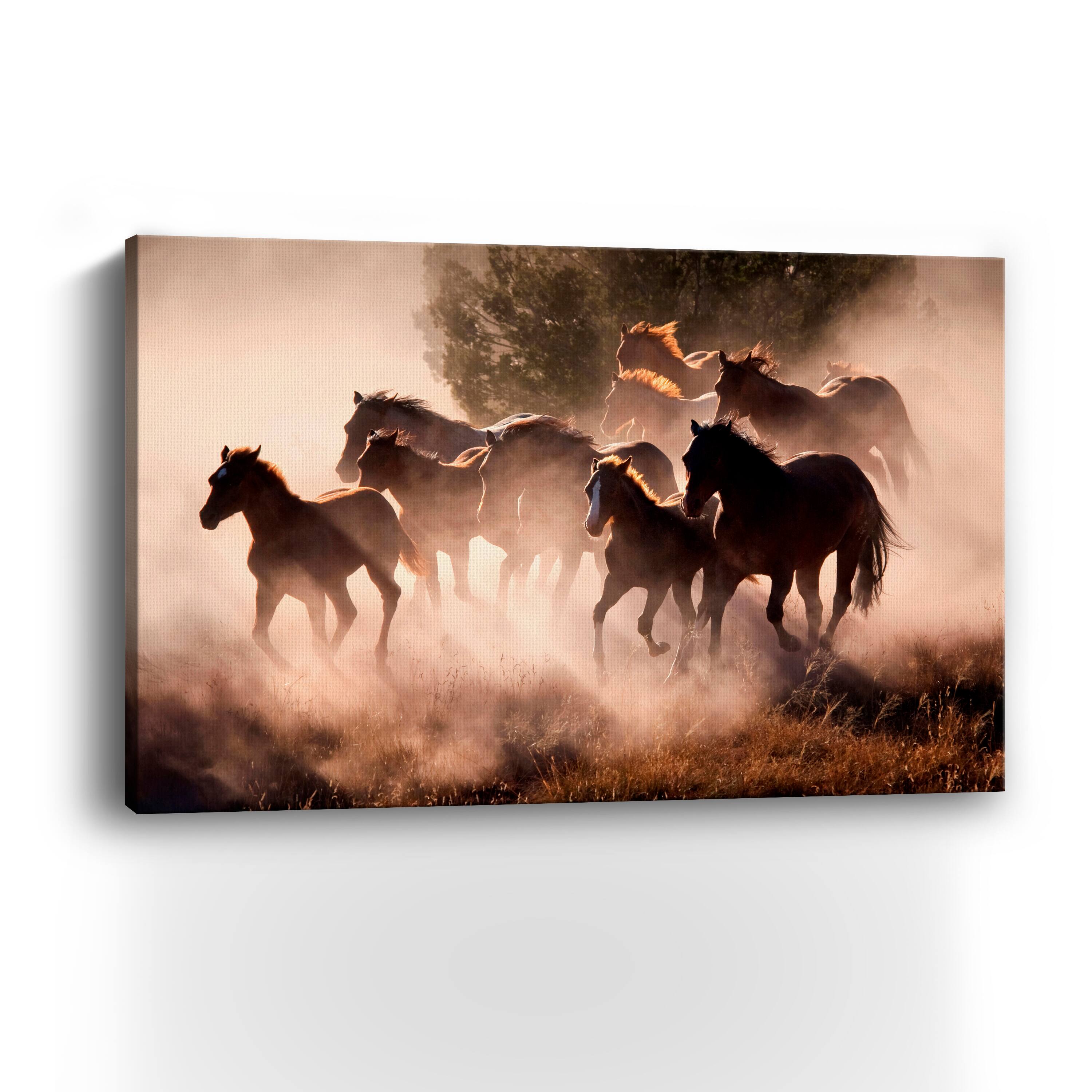 Lumaprints Horses Canvas Wall Art