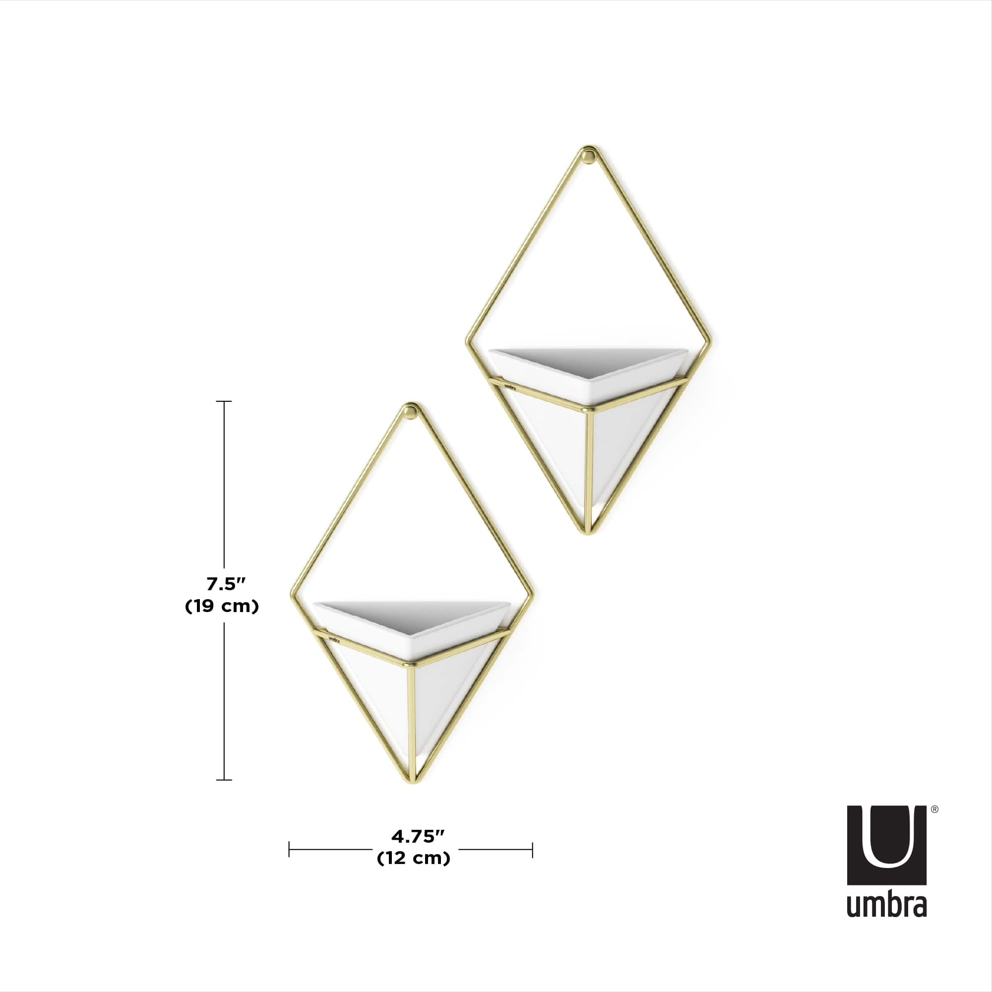 Umbra Trigg Wall Accent Set