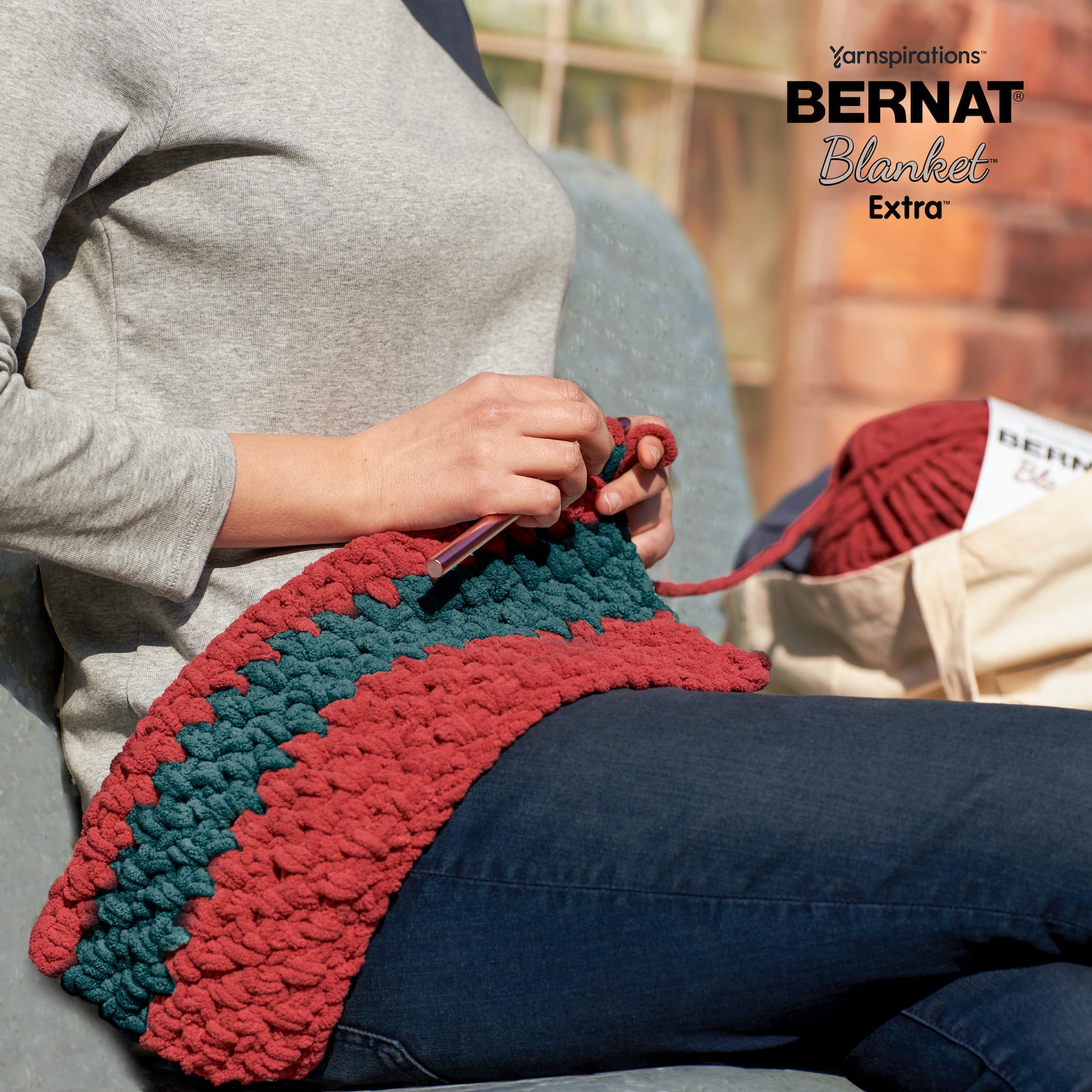 Bernat&#xAE; Blanket&#x2122; Extra&#x2122; Yarn