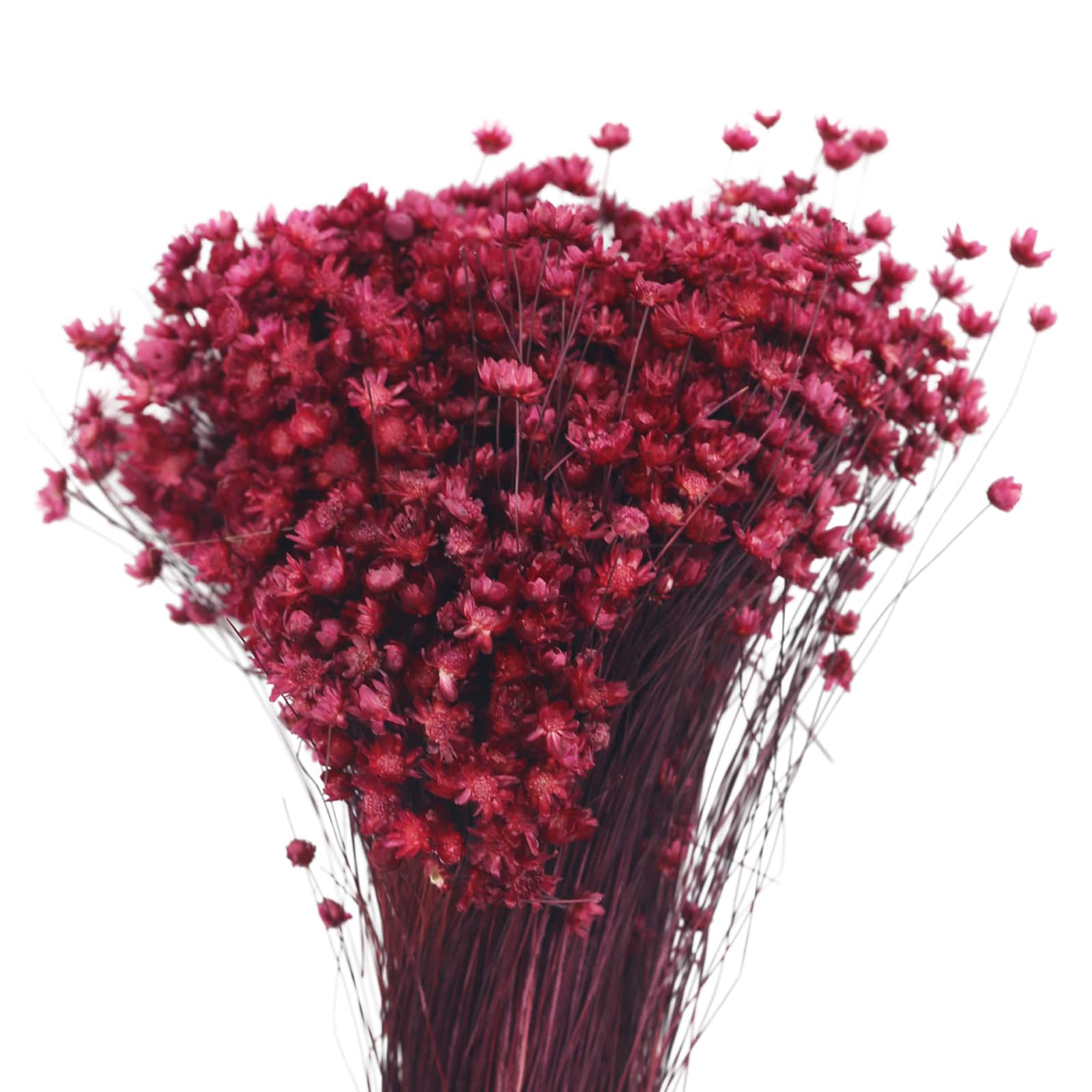 12&#x22; Red Camdpo Flower Bunch by Ashland&#xAE;