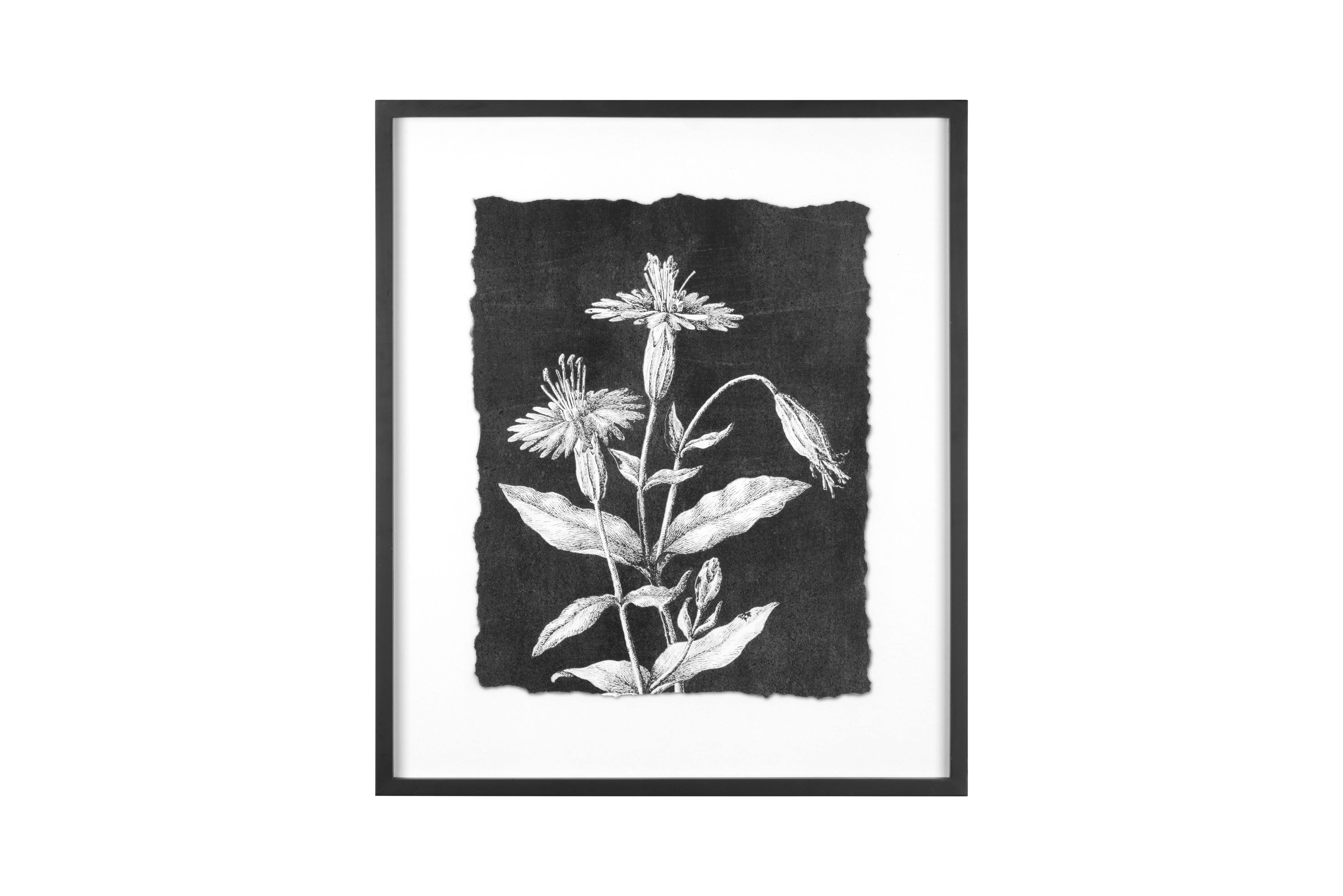 Hello Honey® Black and White Botanical Print Wall Décor with Glass and Wood Frame Set