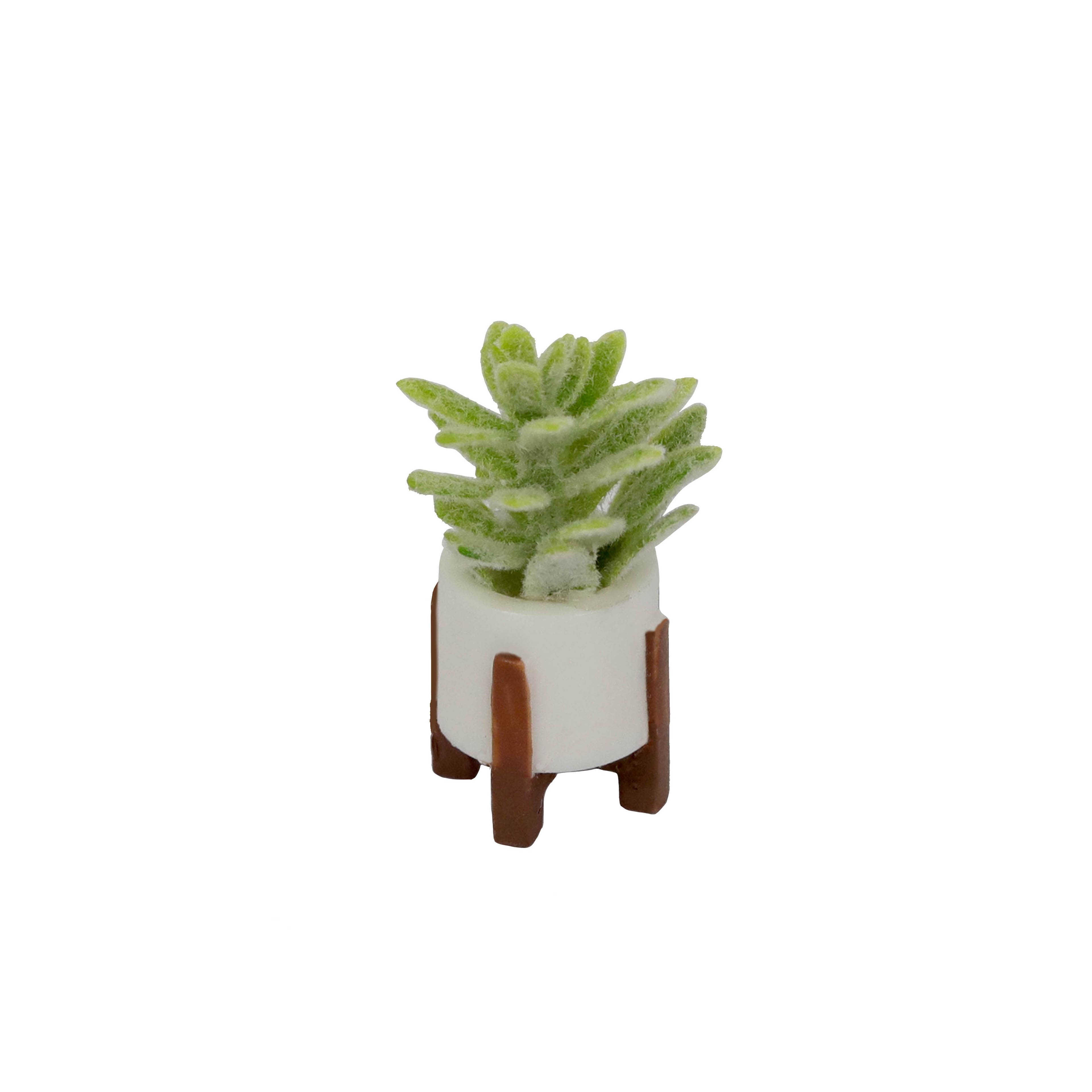 Mini Plant Decoration Set by Ashland&#xAE;