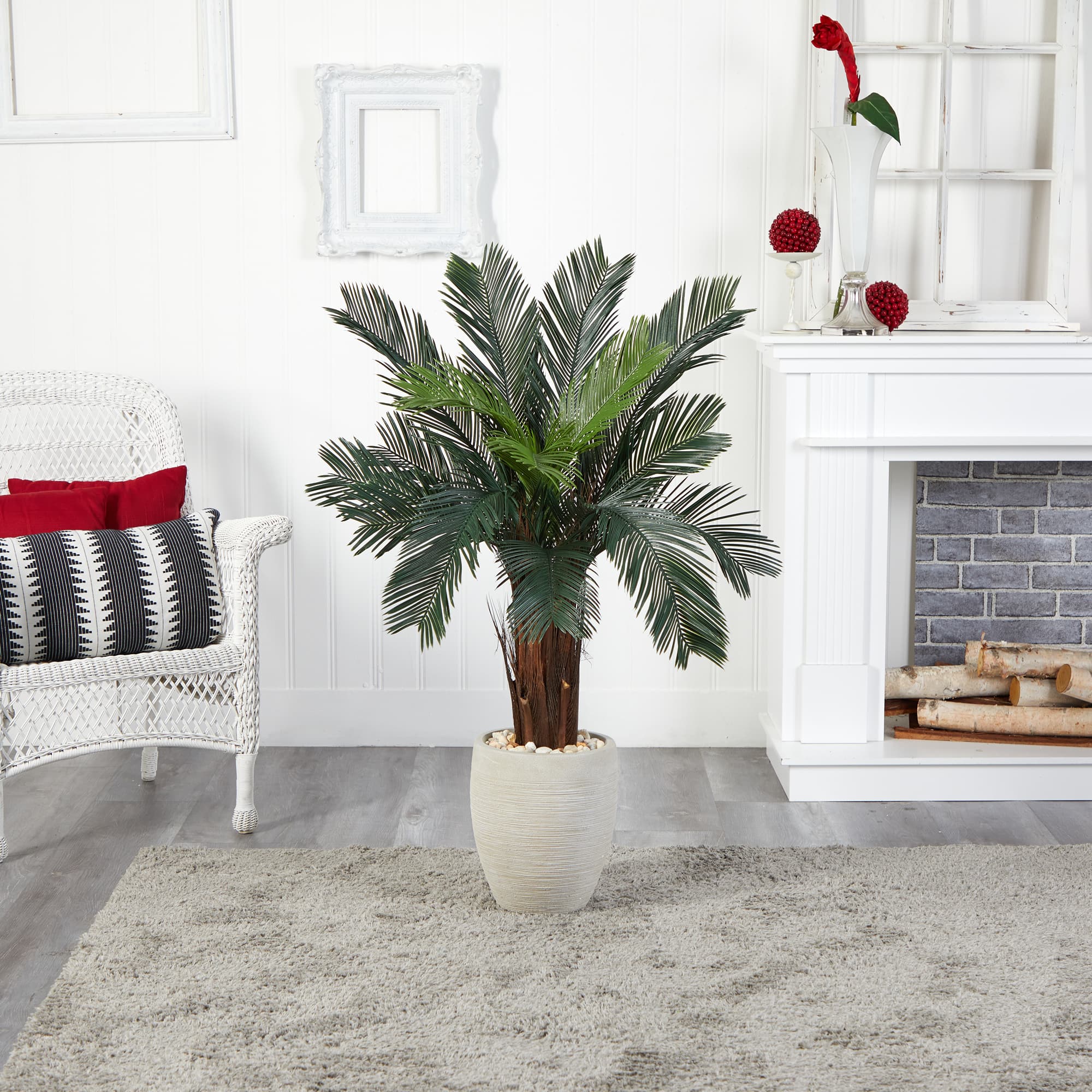 4.5ft. Cycas Tree in Oval Planter
