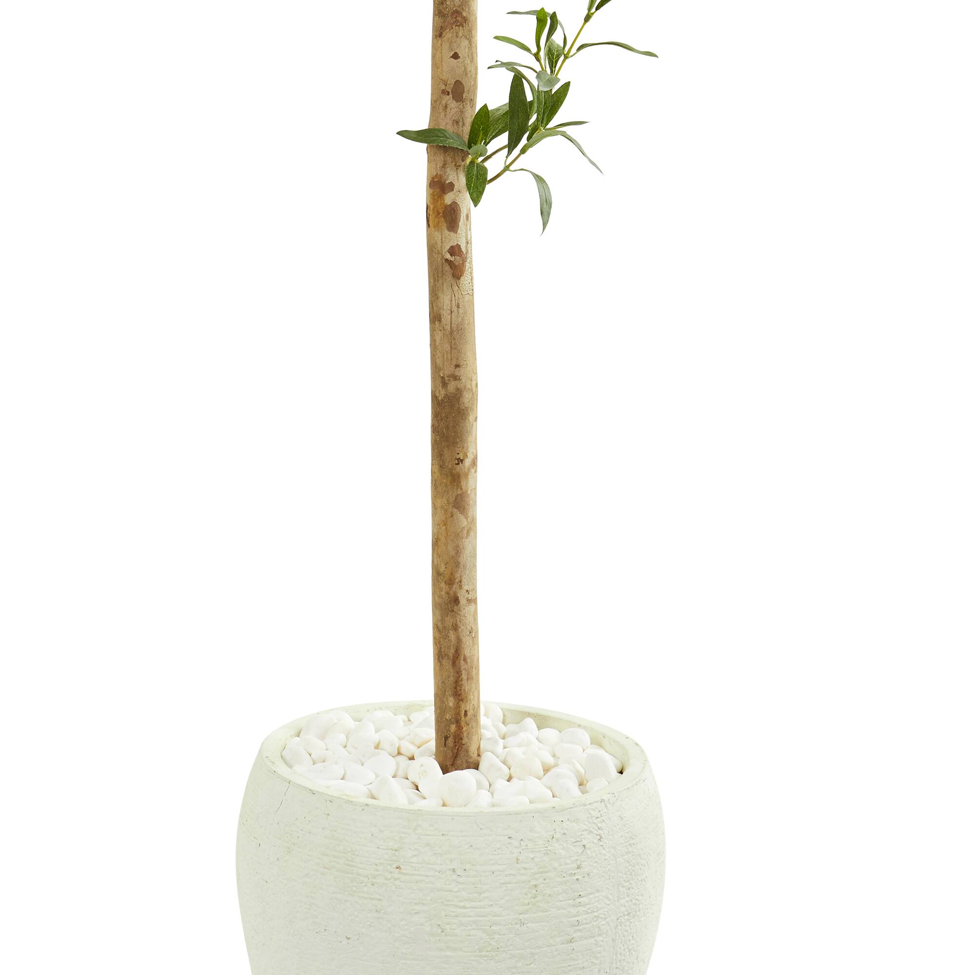 5ft. Olive Topiary Artificial Tree in White Planter