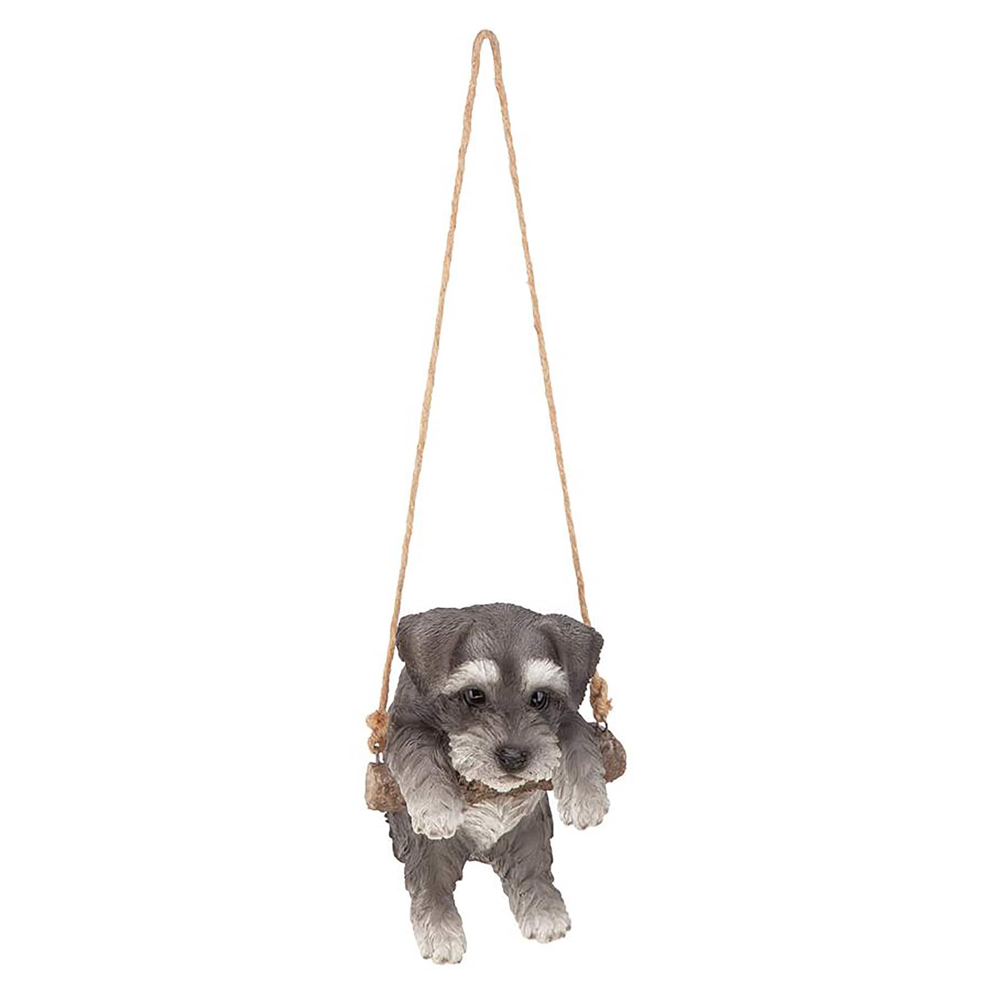Design Toscano 8&#x22; Mini Schnauzer Puppy on a Perch Hanging Dog Sculpture