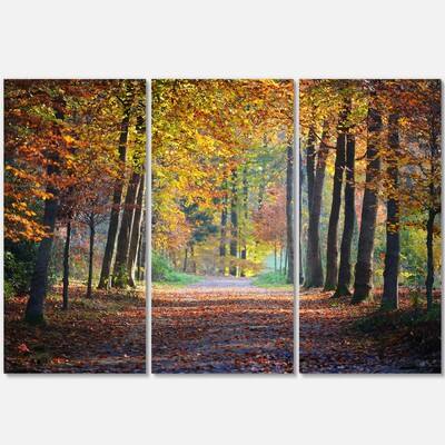 Designart - Wide Pathway in Yellow Fall Forest - Landscape Photography ...