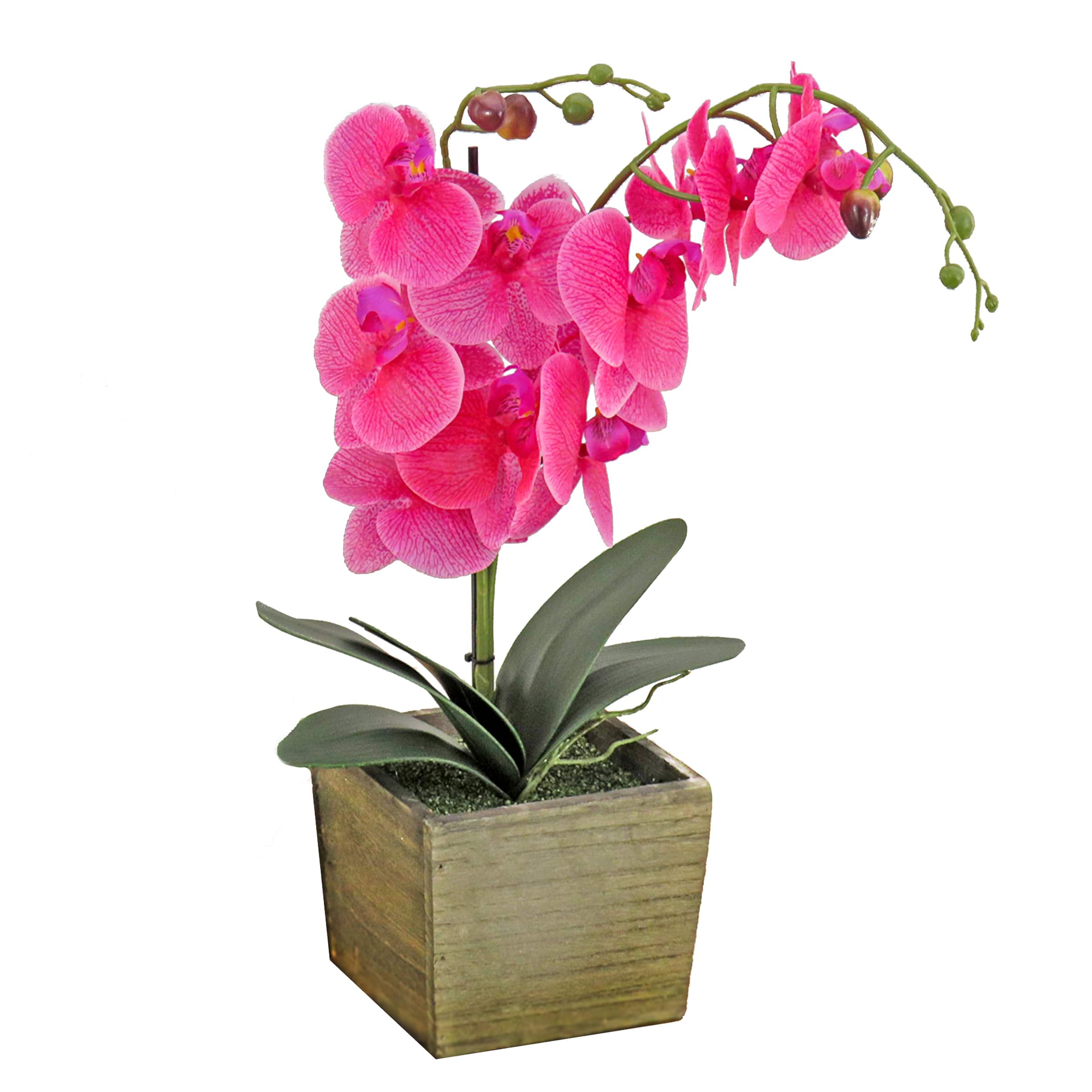 21" Orchid Flower In Wood Box