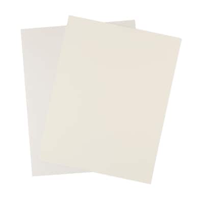 Recollections® Signature Shimmer Cardstock Paper Duo image