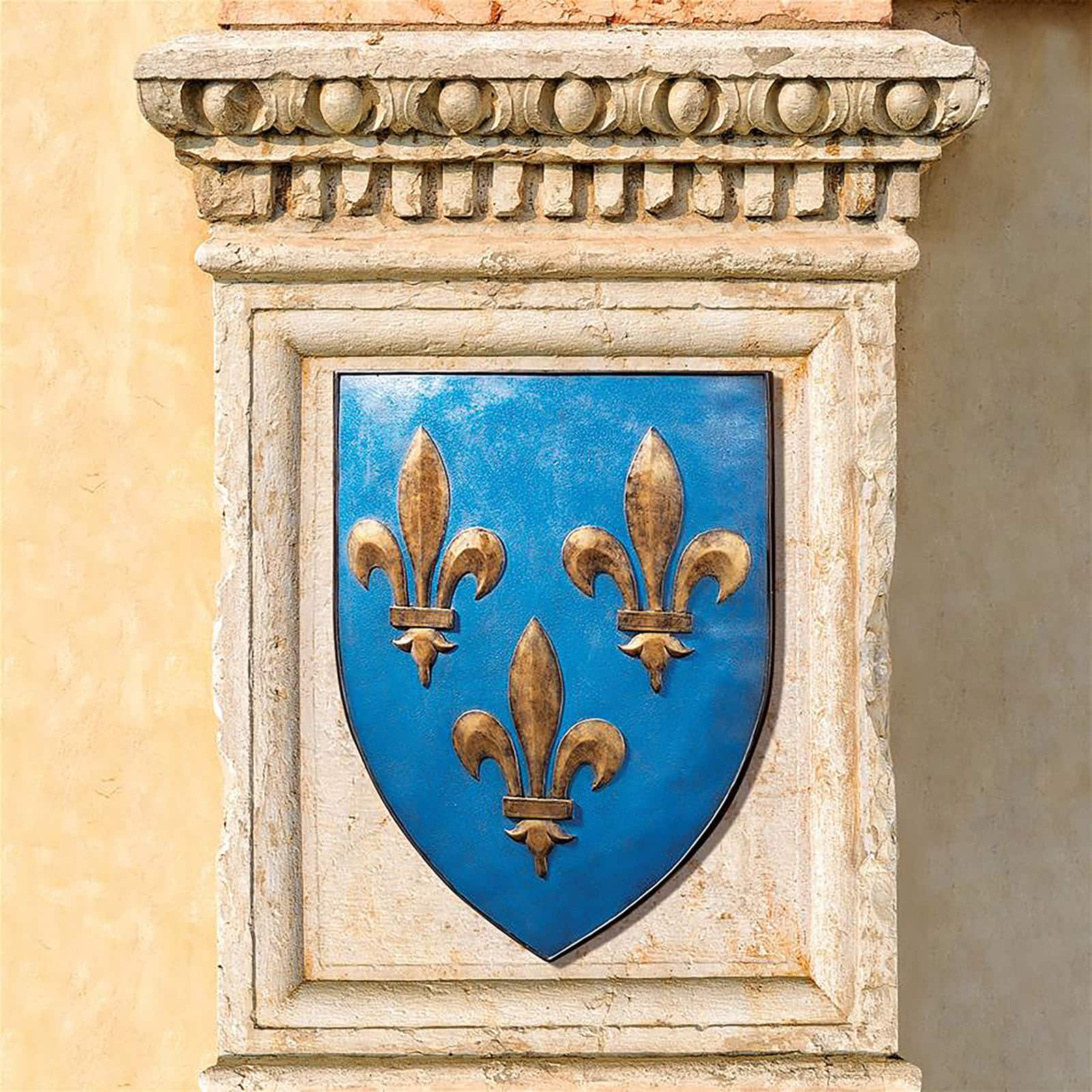 Design Toscano Fleur-de-Lis Grand Arms of France Wall Shield