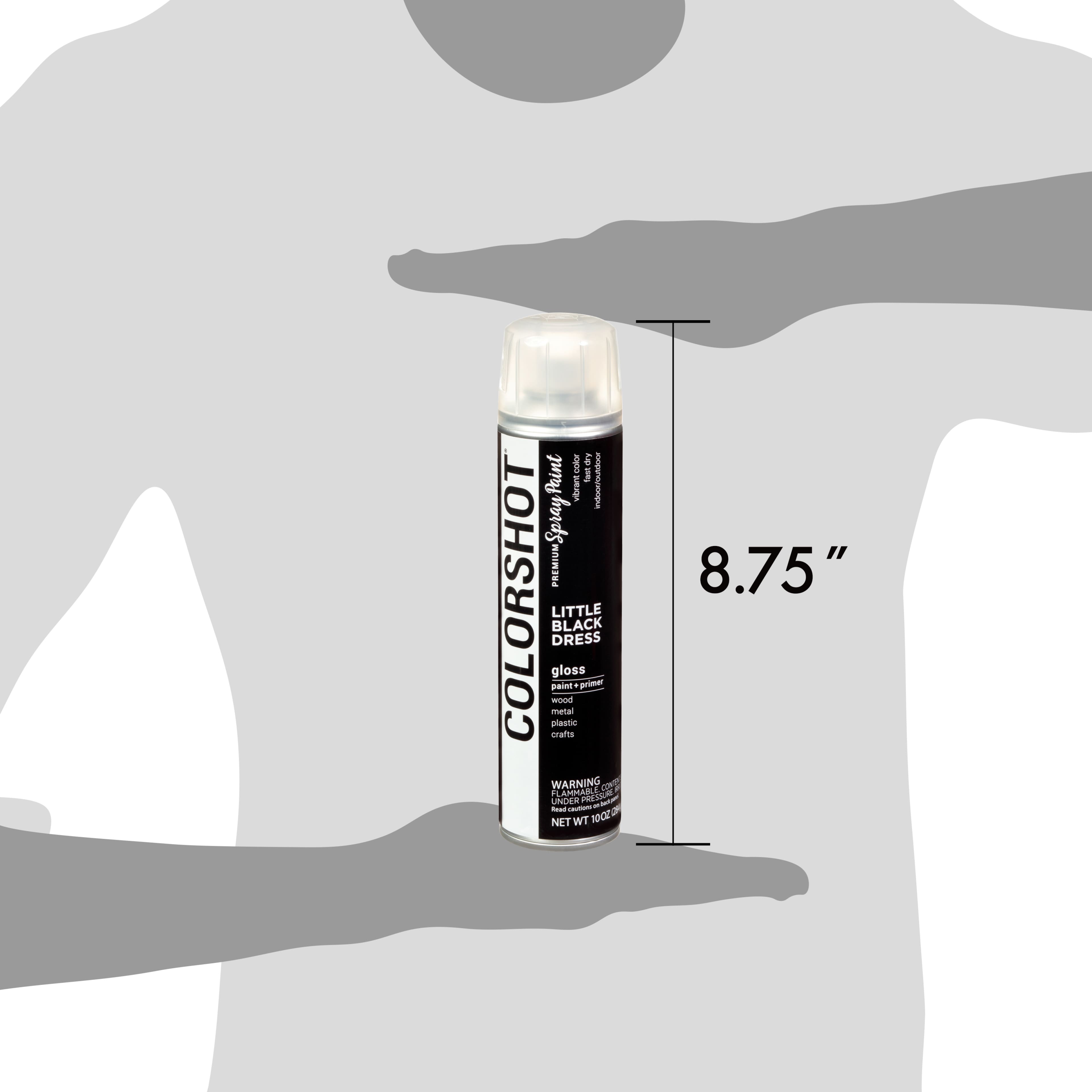 COLORSHOT® Premium Gloss Spray Paint