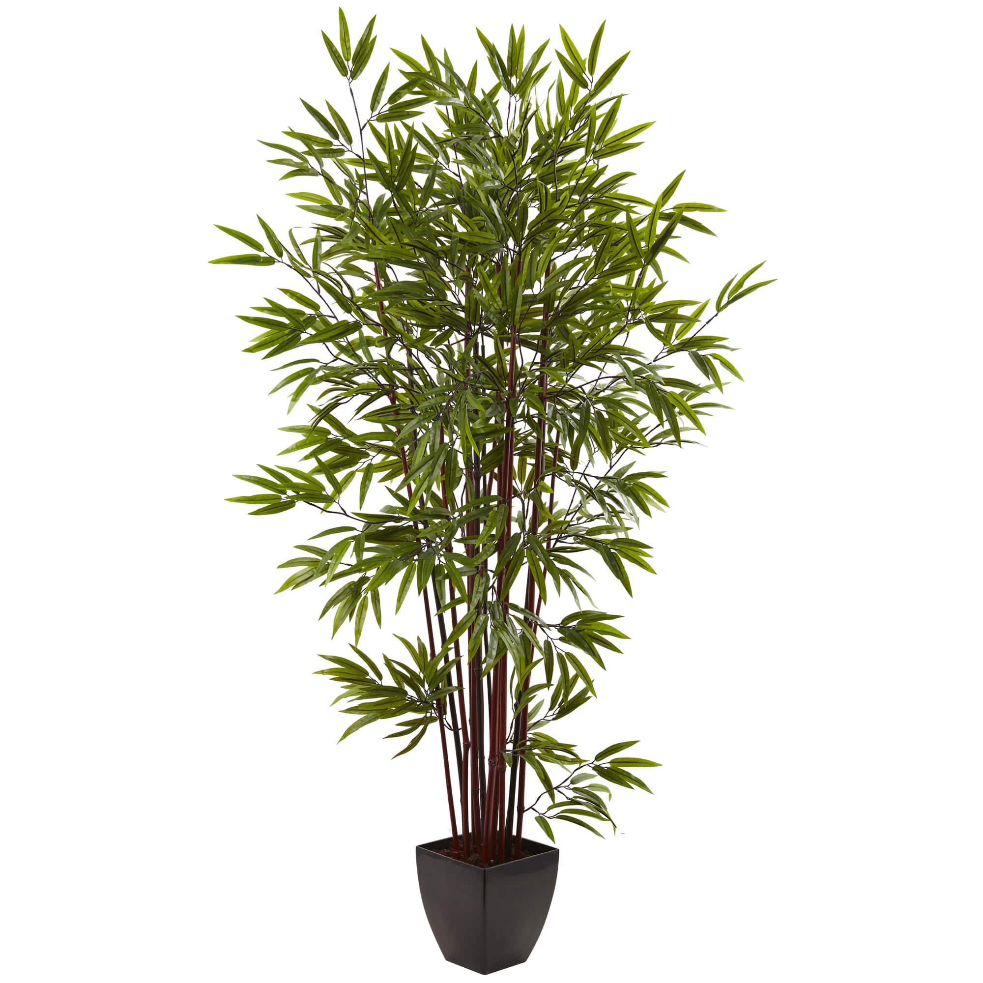 6ft. Potted Bamboo Silk Tree 