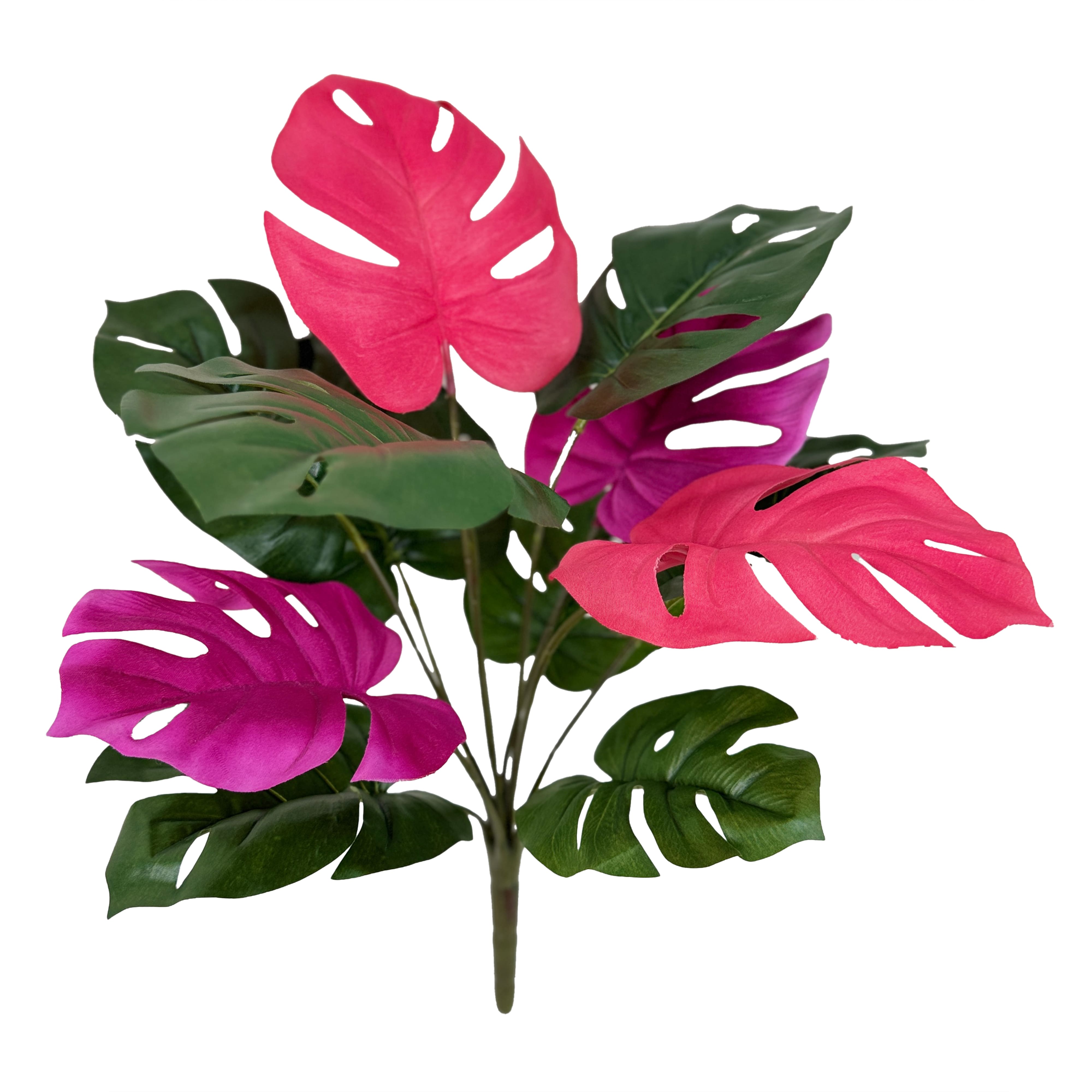 19&#x22; Pink &#x26; Green Monstera Bush by Ashland&#xAE;