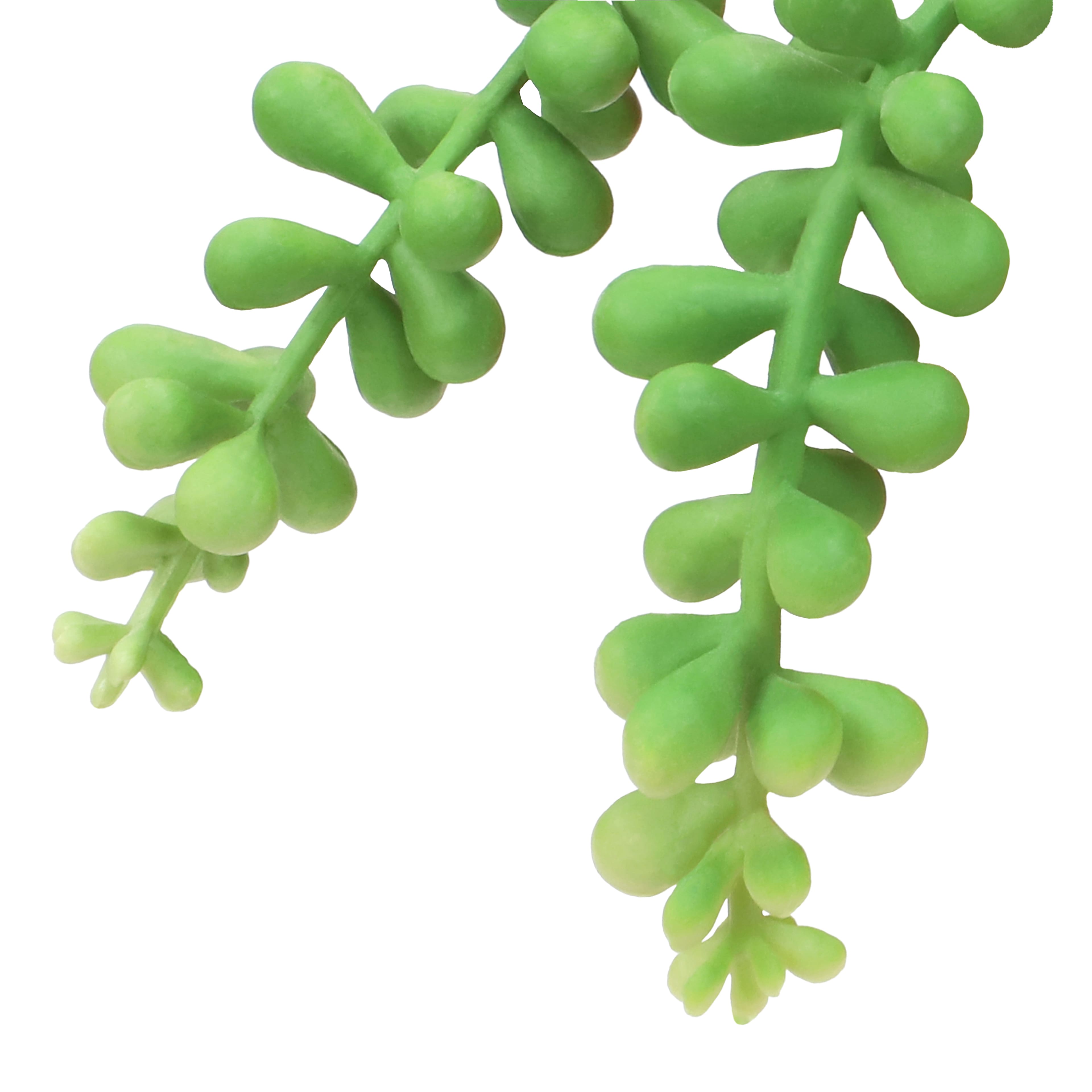 Fausse succulente collier de perles dans un pot en forme d&#x2019;orange, 15,2 cm d&#x2019;Ashland