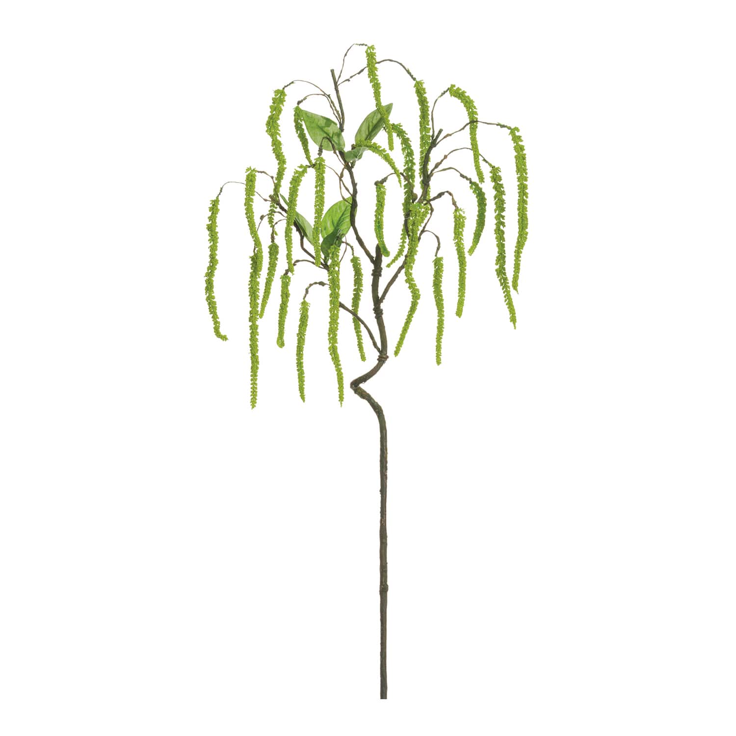 24 Pack: Green Amaranthus Hanging Spray