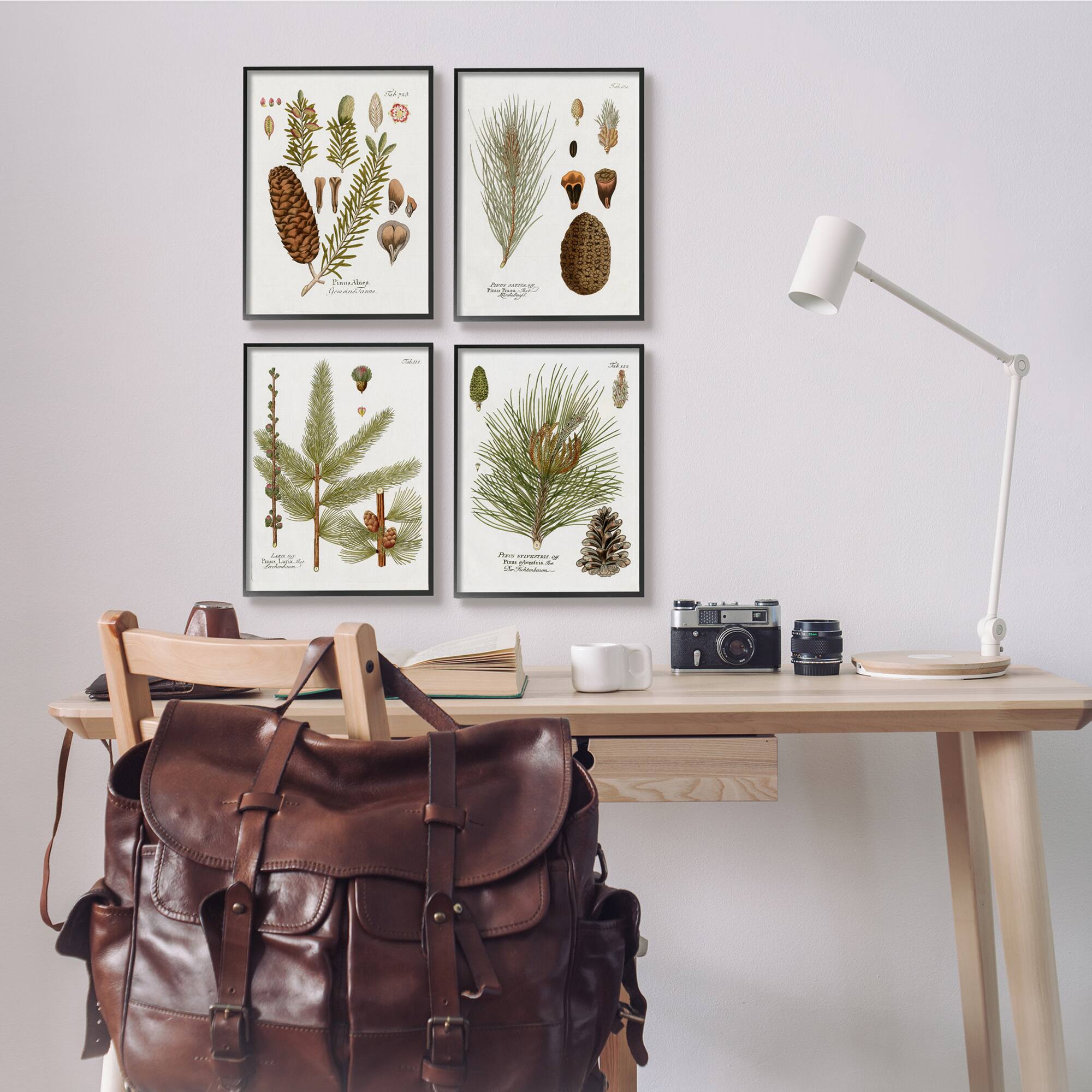 Stupell Industries Vintage Forest Pine Illustrated Study Green Brown Plants Framed Wall Art