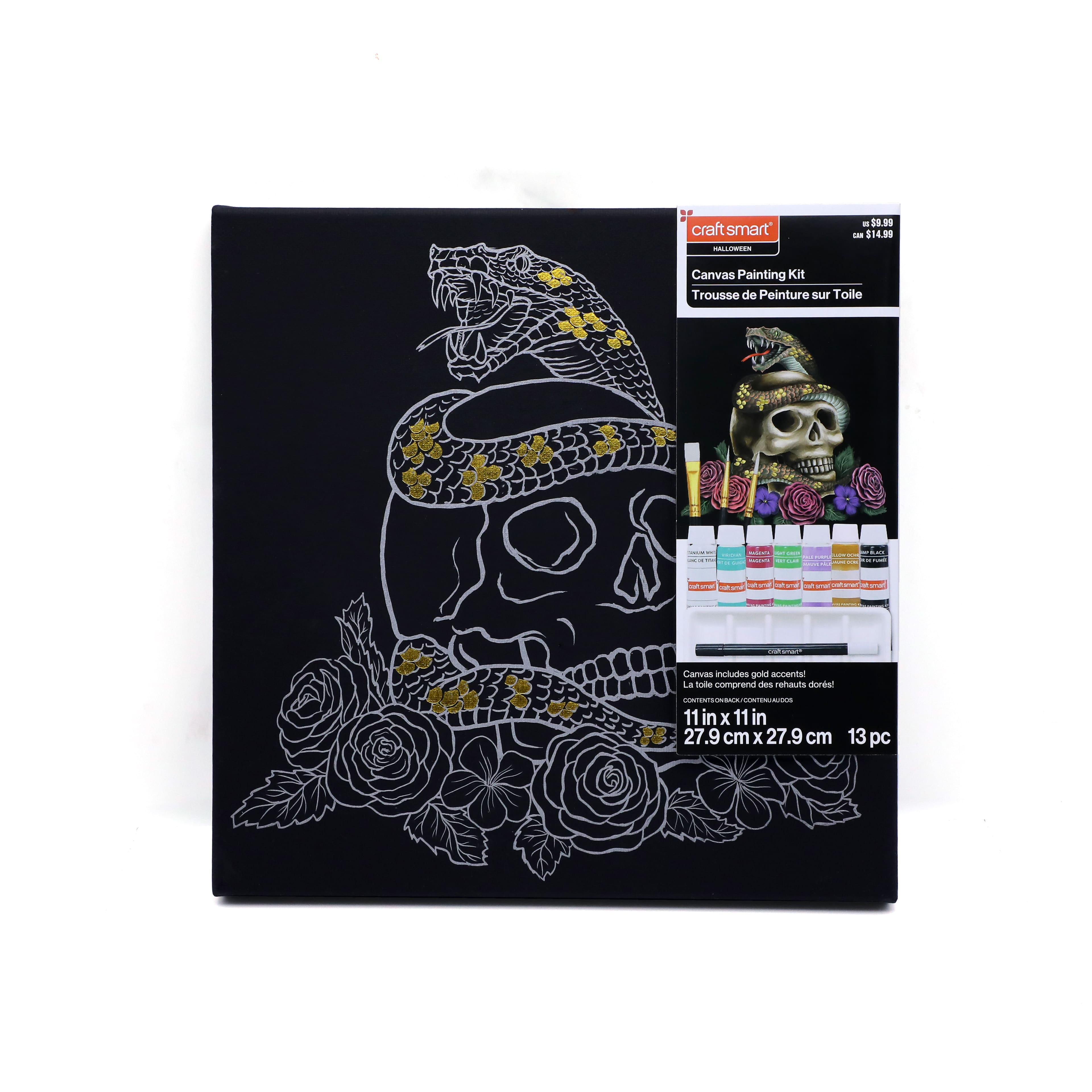 11" x 11" Skull with Snake Canvas Painting Kit by Craft Smart®