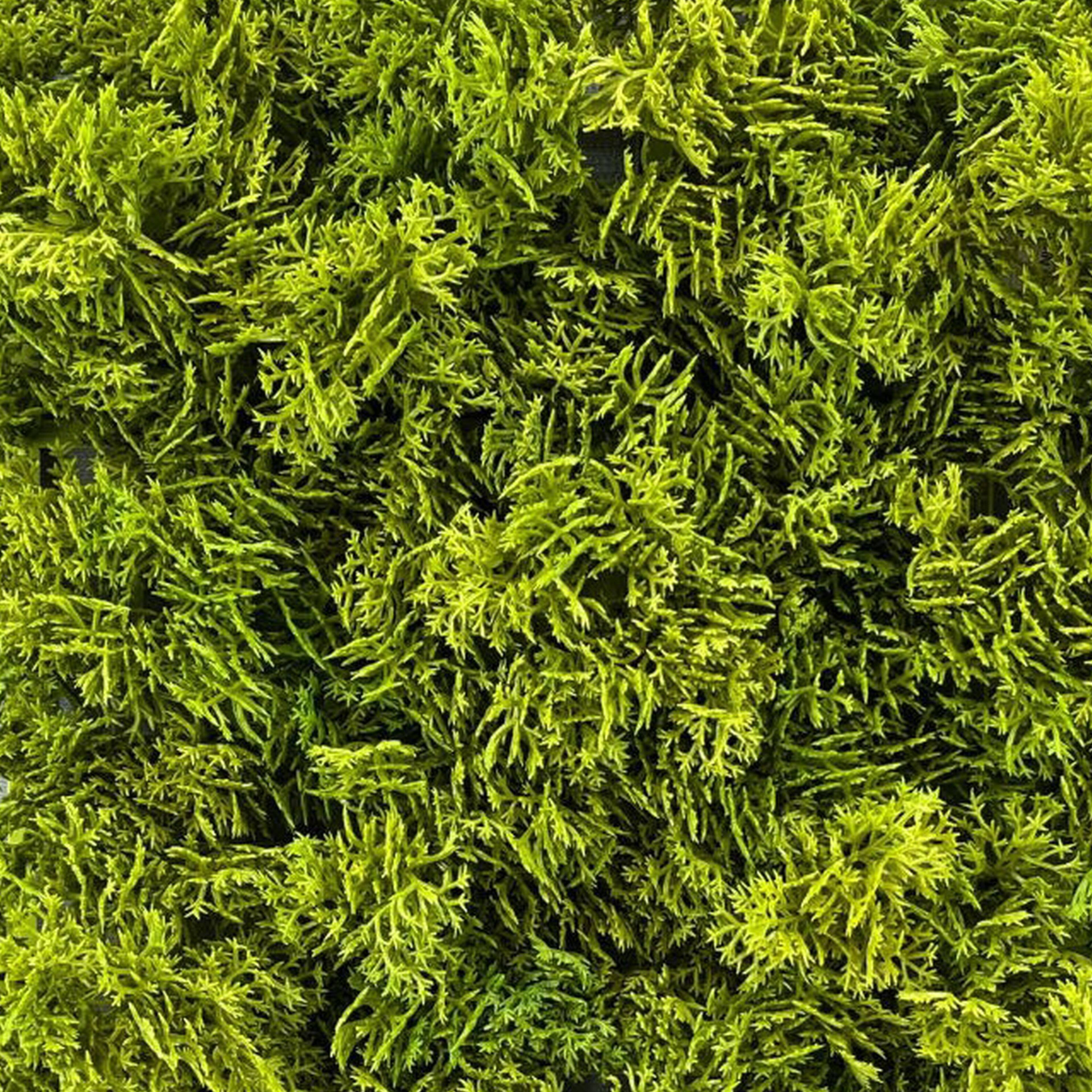 Faux Moss Mat by Ashland&#xAE;