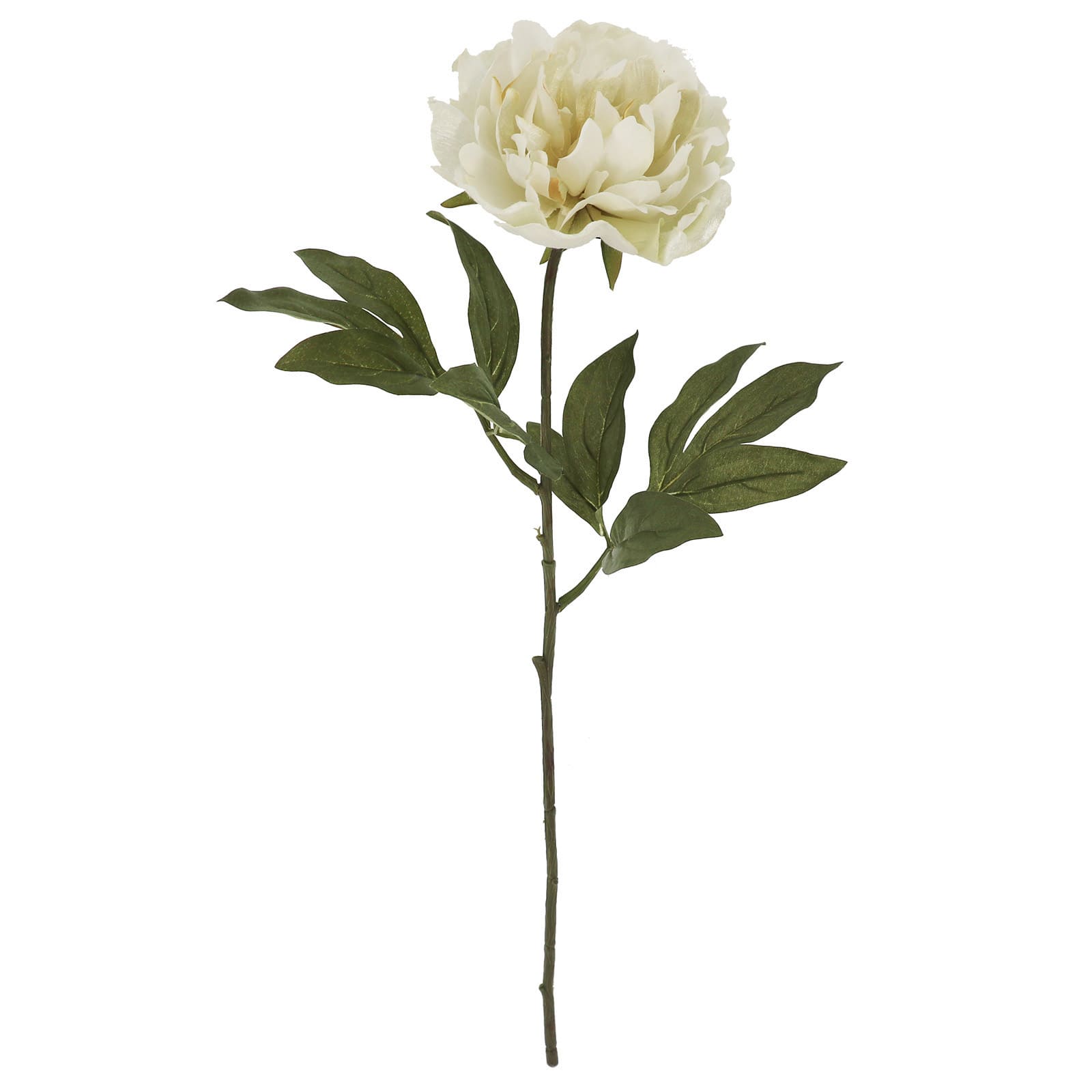 28&#x22; White Peony Stem by Ashland&#xAE;