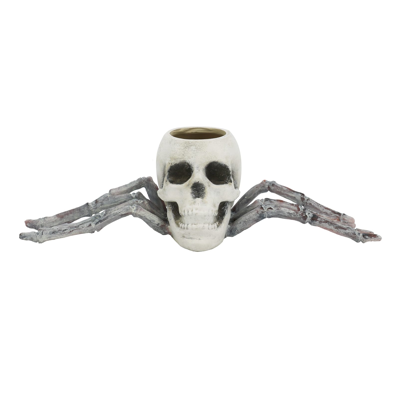 9.5&#x22; Spider Skull Tabletop D&#xE9;cor by Ashland&#xAE;