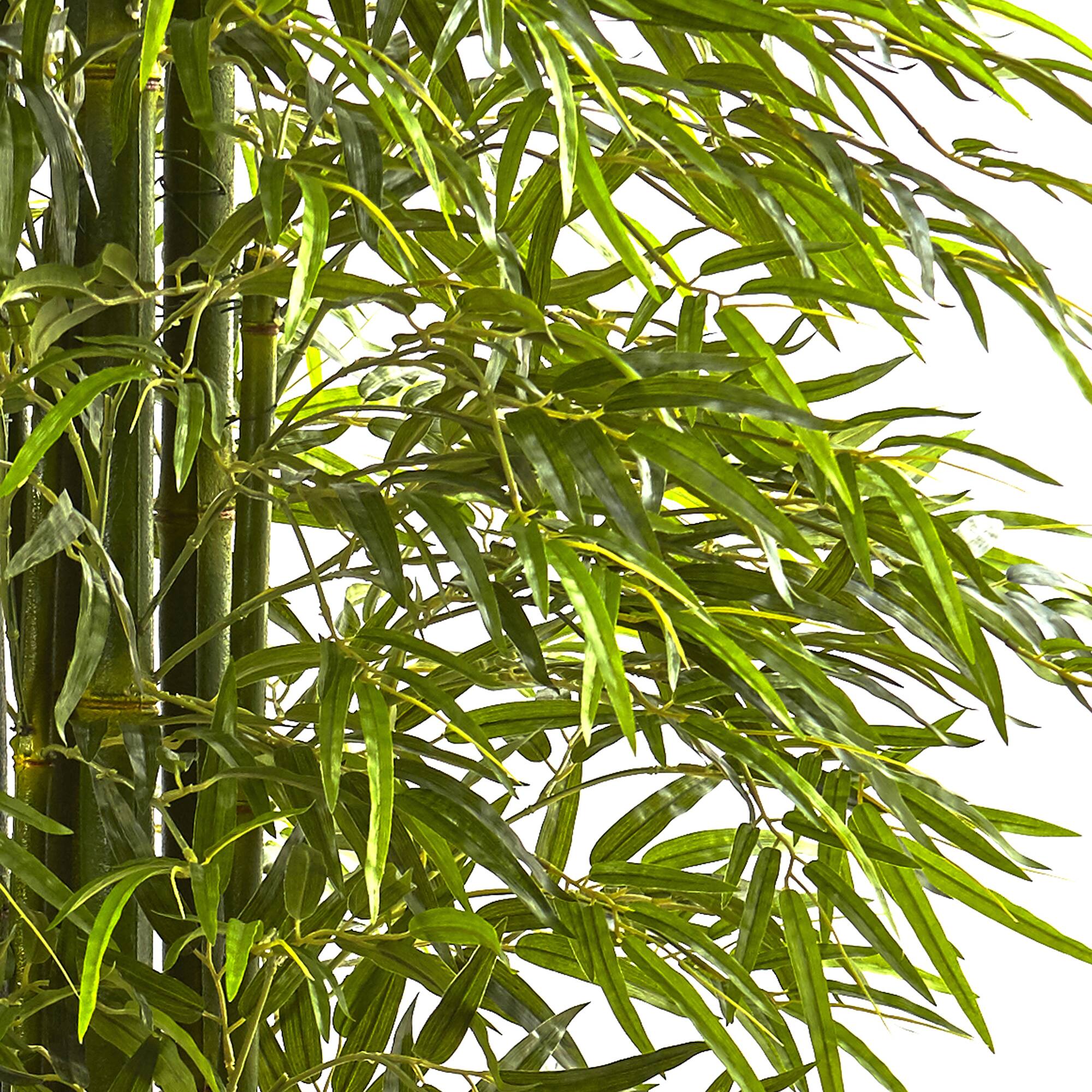 7ft. Potted Bamboo Tree