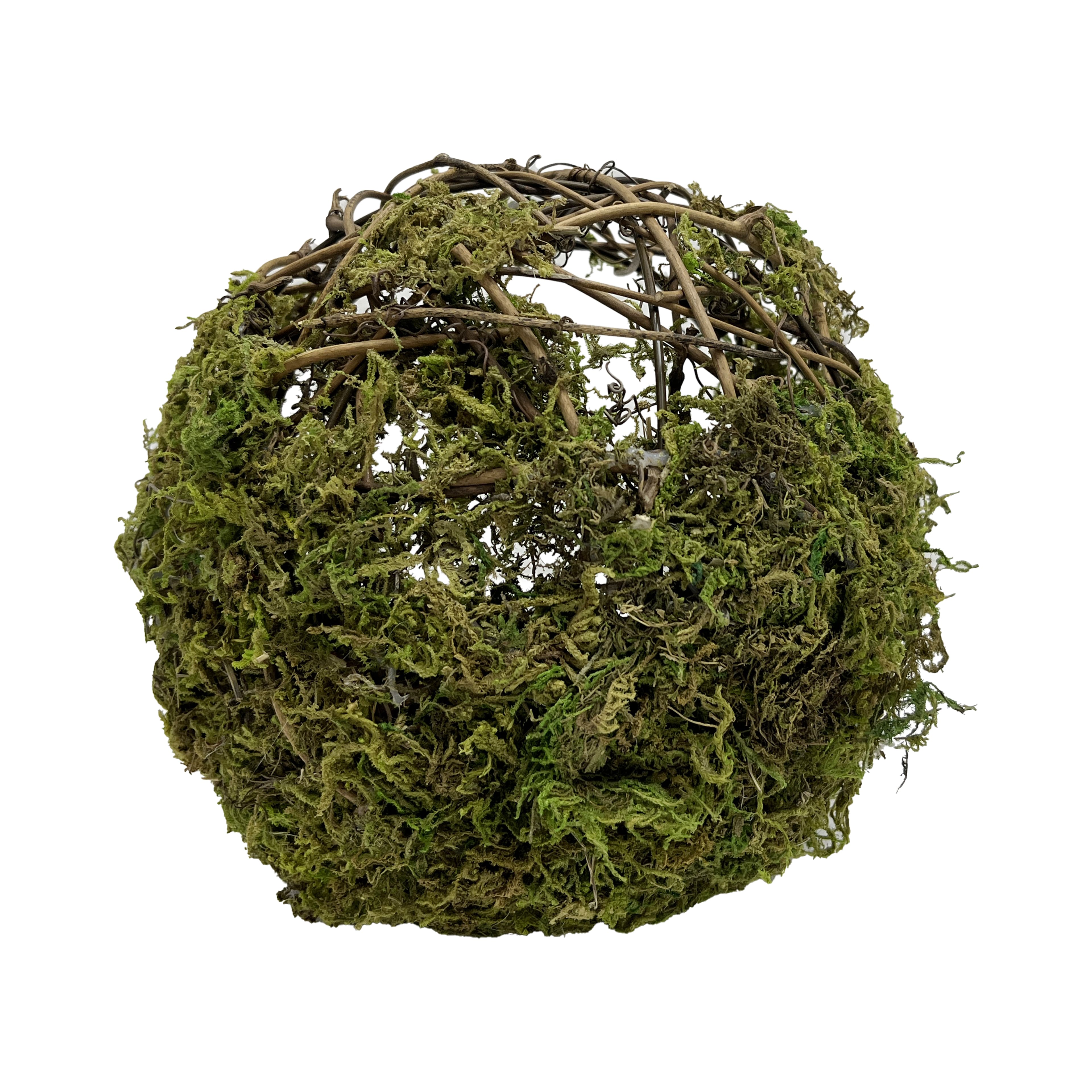 7&#x22; Green Moss Ball Accent by Ashland&#xAE;