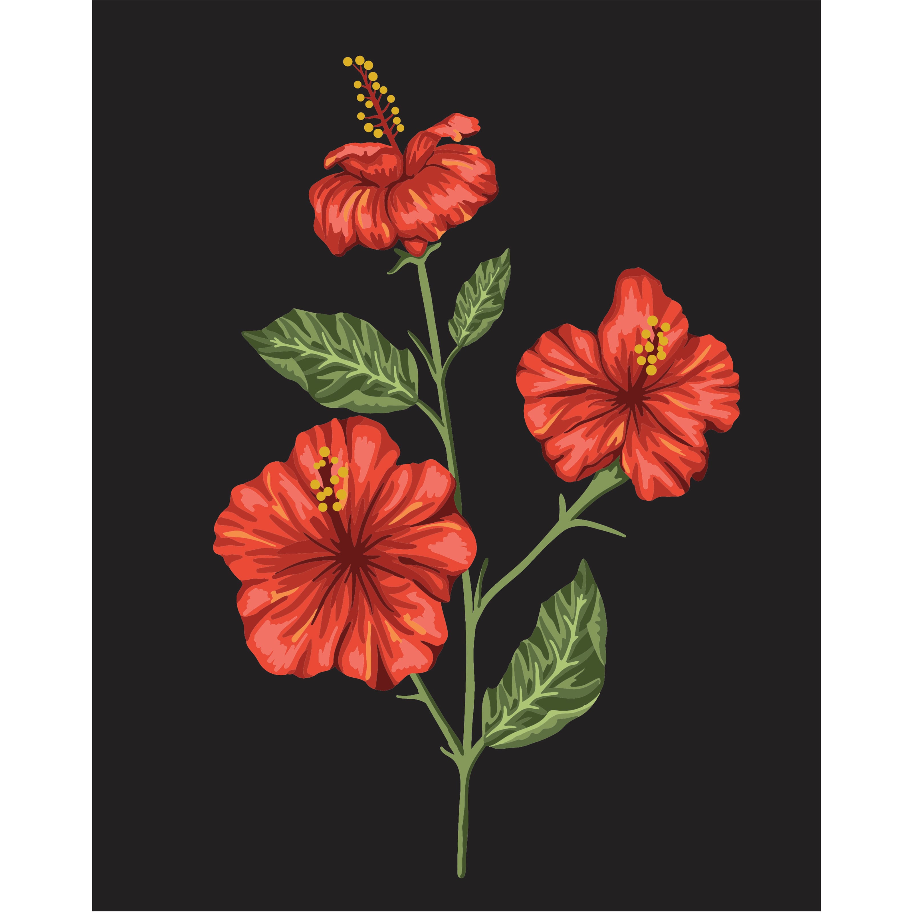 8&#x22; x 10&#x22; Hibiscus Paint-by-Number Kit with Wood Display Hanger by Artist&#x27;s Loft&#xAE;