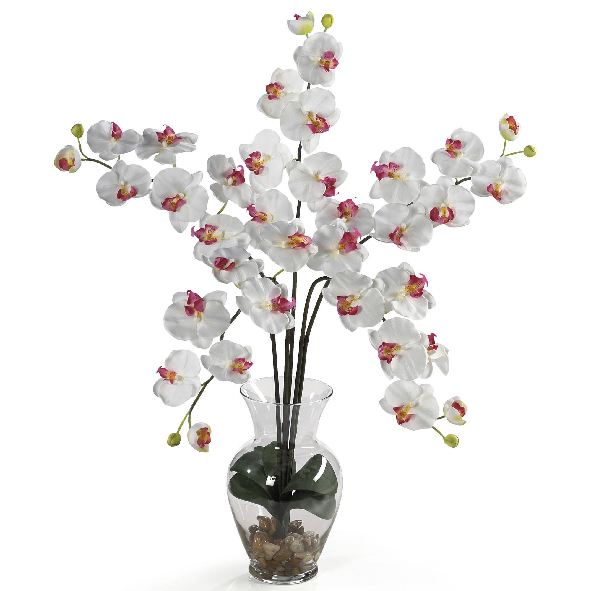 2.5ft. Moth Orchid Liquid Illusion Silk Flower Arrangement