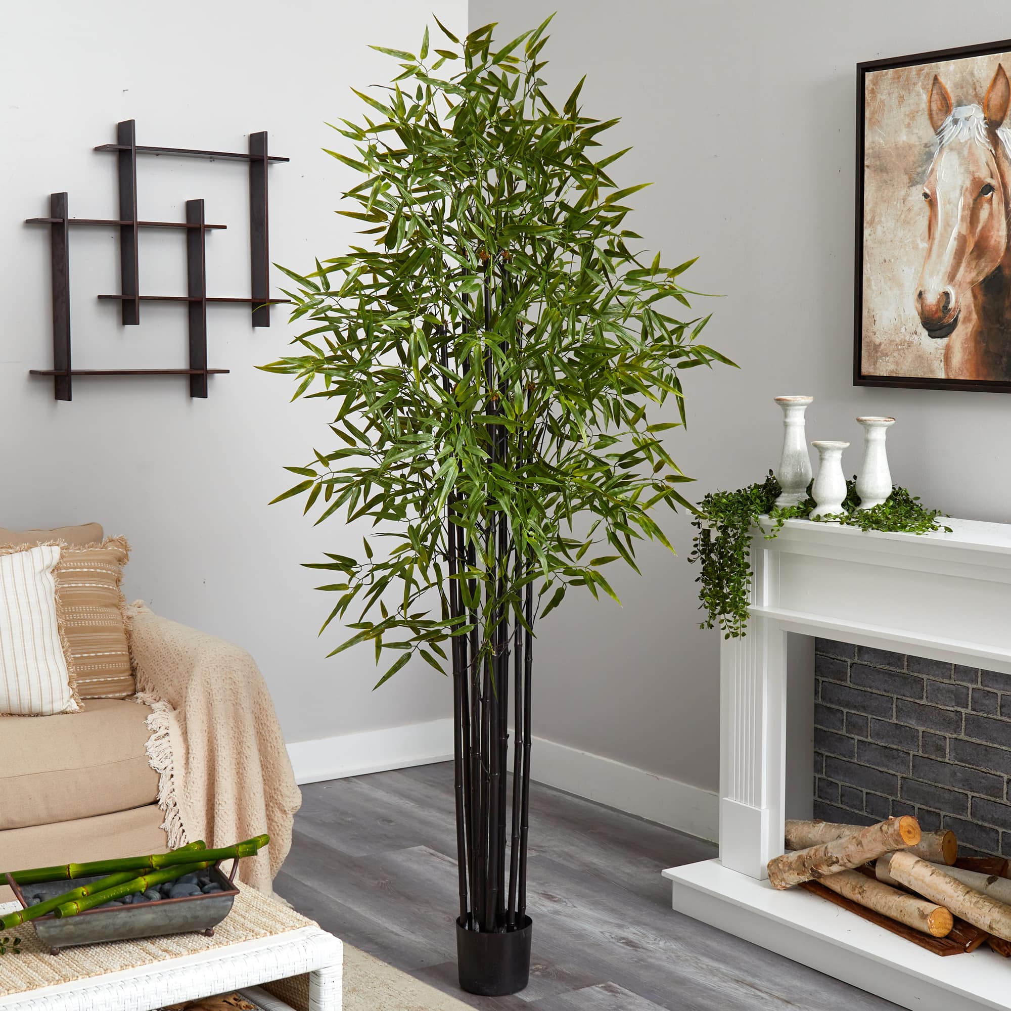 6ft. Potted Black Bamboo Tree