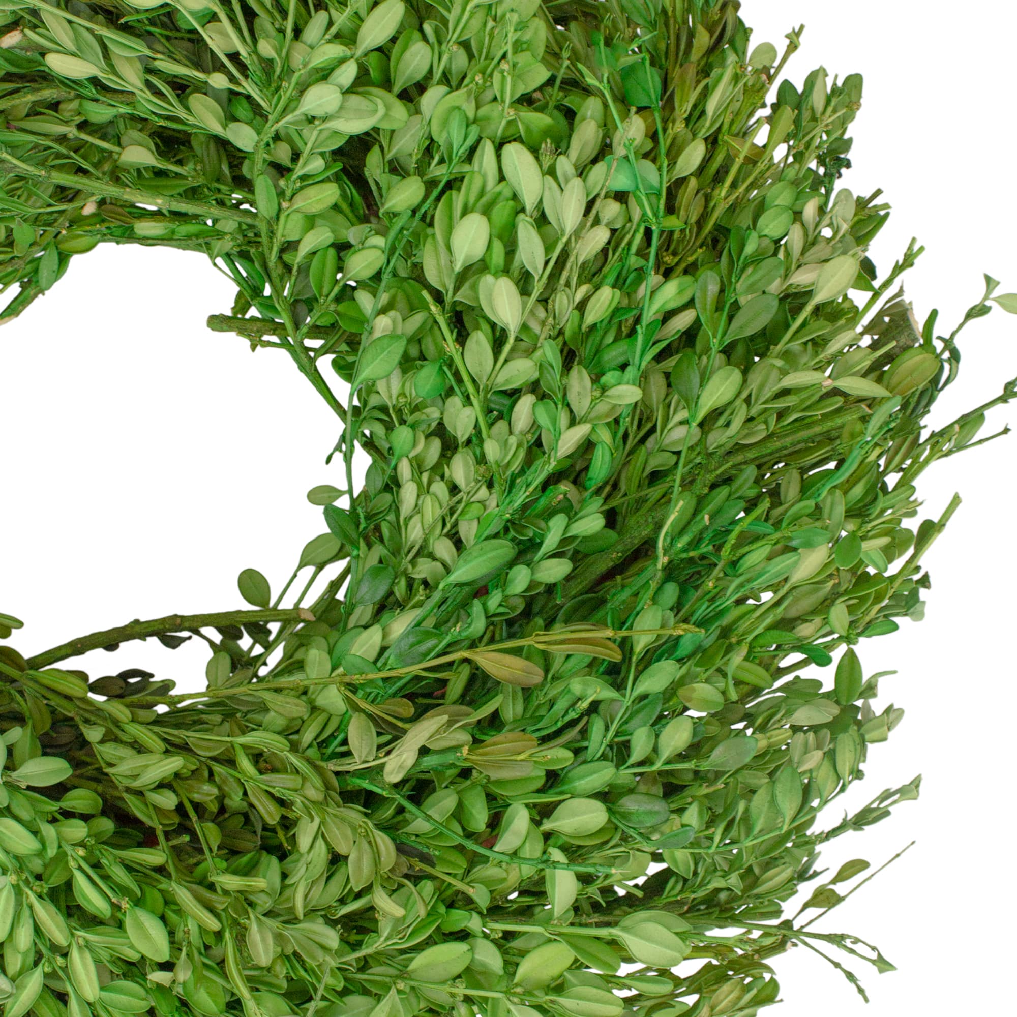 15&#x22; Green Foliage Artificial Spring Wreath